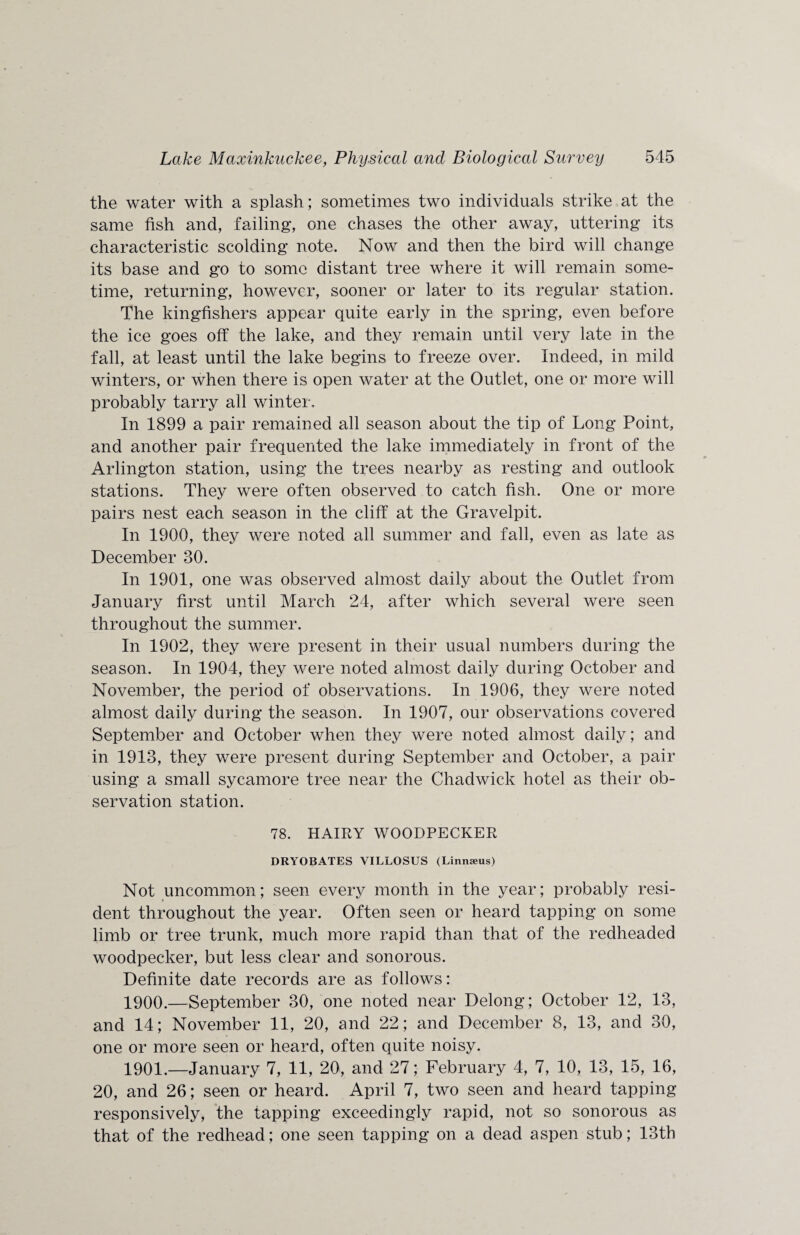 the water with a splash; sometimes two individuals strike at the same fish and, failing, one chases the other away, uttering its characteristic scolding note. Now and then the bird will change its base and go to some distant tree where it will remain some¬ time, returning, however, sooner or later to its regular station. The kingfishers appear quite early in the spring, even before the ice goes off the lake, and they remain until very late in the fall, at least until the lake begins to freeze over. Indeed, in mild winters, or when there is open water at the Outlet, one or more will probably tarry all winter. In 1899 a pair remained all season about the tip of Long Point, and another pair frequented the lake immediately in front of the Arlington station, using the trees nearby as resting and outlook stations. They were often observed to catch fish. One or more pairs nest each season in the cliff at the Gravelpit. In 1900, they were noted all summer and fall, even as late as December 30. In 1901, one was observed almost daily about the Outlet from January first until March 24, after which several were seen throughout the summer. In 1902, they were present in their usual numbers during the season. In 1904, they were noted almost daily during October and November, the period of observations. In 1906, they were noted almost daily during the season. In 1907, our observations covered September and October when they were noted almost daily; and in 1913, they were present during September and October, a pair using a small sycamore tree near the Chadwick hotel as their ob¬ servation station. 78. HAIRY WOODPECKER DRYOBATES VILLOSUS (Linnaeus) Not uncommon; seen every month in the year; probably resi¬ dent throughout the year. Often seen or heard tapping on some limb or tree trunk, much more rapid than that of the redheaded woodpecker, but less clear and sonorous. Definite date records are as follows: 1900. —September 30, one noted near Delong; October 12, 13, and 14; November 11, 20, and 22; and December 8, 13, and 30, one or more seen or heard, often quite noisy. 1901. —January 7, 11, 20, and 27; February 4, 7, 10, 13, 15, 16, 20, and 26; seen or heard. April 7, two seen and heard tapping responsively, the tapping exceedingly rapid, not so sonorous as that of the redhead; one seen tapping on a dead aspen stub; 13th