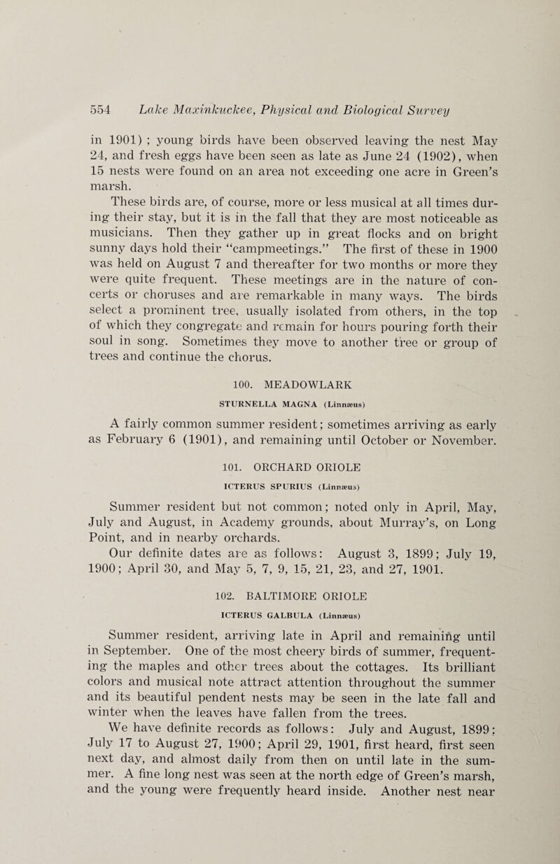 in 1901) ; young birds have been observed leaving the nest May 24, and fresh eggs have been seen as late as June 24 (1902), when 15 nests were found on an area not exceeding one acre in Green’s marsh. These birds are, of course, more or less musical at all times dur¬ ing their stay, but it is in the fall that they are most noticeable as musicians. Then they g’ather up in great flocks and on bright sunny days hold their “campmeetings.” The first of these in 1900 was held on August 7 and thereafter for two months or more they were quite frequent. These meetings are in the nature of con¬ certs or choruses and are remarkable in many ways. The birds select a prominent tree, usually isolated from others, in the top of which they congregate and remain for hours pouring forth their soul in song. Sometimes they move to another tree or group of trees and continue the chorus. 100. MEADOWLARK STURNELLA MAGNA (Linnseus) A fairly common summer resident; sometimes arriving as early as February 6 (1901), and remaining until October or November. 101. ORCHARD ORIOLE ICTERUS SPURIUS (Linnaeus) Summer resident but not common; noted only in April, May, July and August, in Academy grounds, about Murray’s, on Long Point, and in nearby orchards. Our definite dates are as follows: August 3, 1899; July 19, 1900; April 30, and May 5, 7, 9, 15, 21, 23, and 27, 1901. 102. BALTIMORE ORIOLE ICTERUS GALBULA (Linnaeus) Summer resident, arriving late in April and remaining until in September. One of the most cheery birds of summer, frequent¬ ing the maples and other trees about the cottages. Its brilliant colors and musical note attract attention throughout the summer and its beautiful pendent nests may be seen in the late fall and winter when the leaves have fallen from the trees. We have definite records as follows: July and August, 1899; July 17 to August 27, 1900; April 29, 1901, first heard, first seen next day, and almost daily from then on until late in the sum¬ mer. A fine long nest was seen at the north edge of Green’s marsh, and the young were frequently heard inside. Another nest near