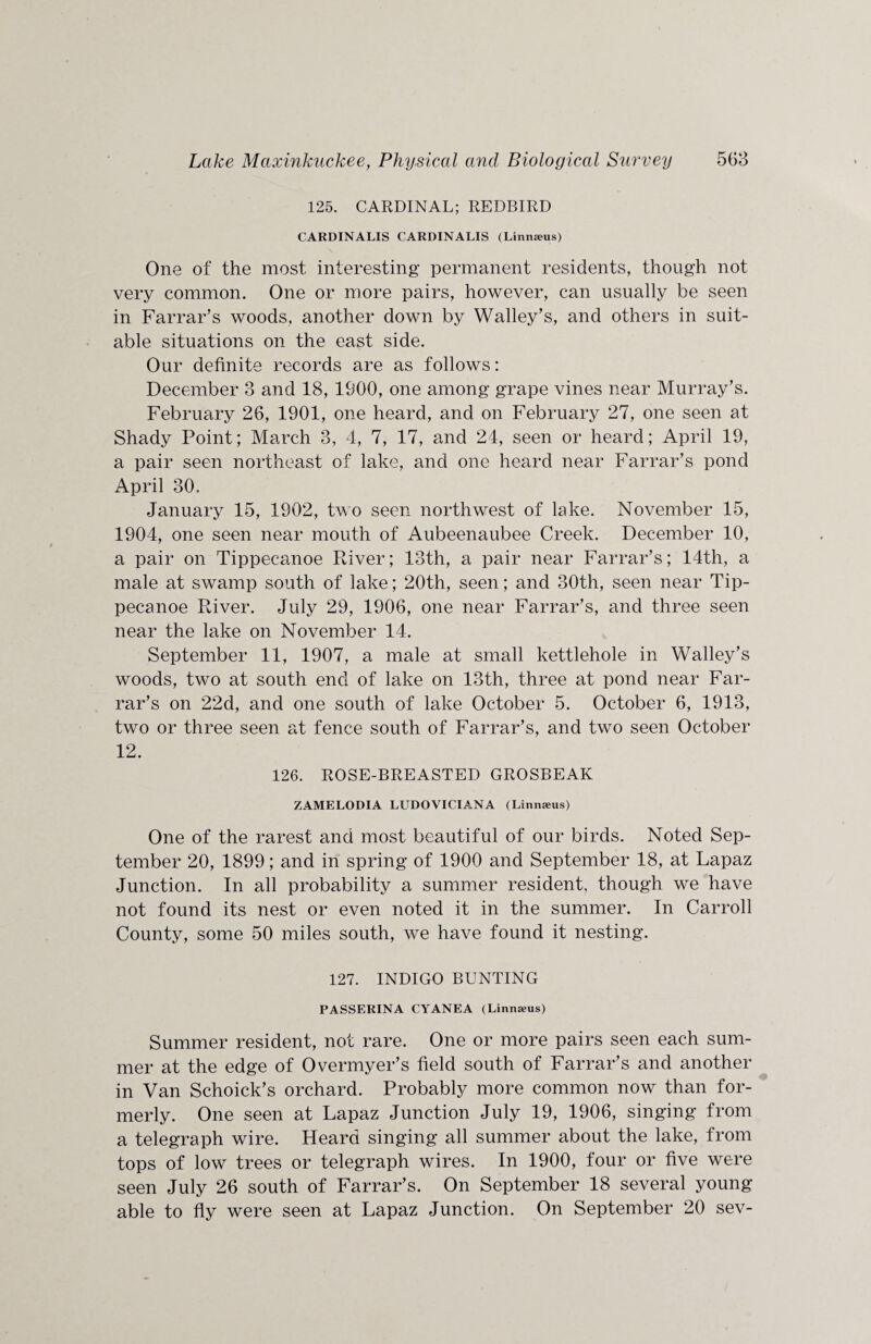 125. CARDINAL; REDBIRD CARDINALIS CARDINALIS (Linnams) One of the most interesting permanent residents, though not very common. One or more pairs, however, can usually be seen in Farrar’s woods, another down by Walley’s, and others in suit¬ able situations on the east side. Our definite records are as follows: December 3 and 18, 1900, one among grape vines near Murray’s. February 26, 1901, one heard, and on February 27, one seen at Shady Point; March 3, 4, 7, 17, and 24, seen or heard; April 19, a pair seen northeast of lake, and one heard near Farrar’s pond April 30, January 15, 1902, two seen northwest of lake. November 15, 1904, one seen near mouth of Aubeenaubee Creek. December 10, a pair on Tippecanoe River; 13th, a pair near Farrar’s; 14th, a male at swamp south of lake; 20th, seen; and 30th, seen near Tip¬ pecanoe River. July 29, 1906, one near Farrar’s, and three seen near the lake on November 14. September 11, 1907, a male at small kettlehole in Walley’s woods, two at south end of lake on 13th, three at pond near Far¬ rar’s on 22d, and one south of lake October 5. October 6, 1913, two or three seen at fence south of Farrar’s, and two seen October 12. 126. ROSE-BREASTED GROSBEAK ZAMELODIA LUDOVICIANA (Linnaeus) One of the rarest and most beautiful of our birds. Noted Sep¬ tember 20, 1899; and in spring of 1900 and September 18, at Lapaz Junction. In all probability a summer resident, though we have not found its nest or even noted it in the summer. In Carroll County, some 50 miles south, we have found it nesting. 127. INDIGO BUNTING PASSERINA CYANEA (Linnaeus) Summer resident, not rare. One or more pairs seen each sum¬ mer at the edge of Overmyer’s field south of Farrar’s and another in Van Schoick’s orchard. Probably more common now than for¬ merly. One seen at Lapaz Junction July 19, 1906, singing from a telegraph wire. Heard singing all summer about the lake, from tops of low trees or telegraph wires. In 1900, four or five were seen July 26 south of Farrar’s. On September 18 several young able to fly were seen at Lapaz Junction. On September 20 sev-