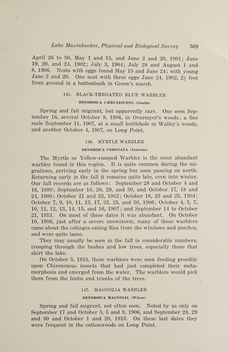 April 26 to 30, May 1 and 15, and June 2 and 20, 1901; June 19, 20, and 24, 1902; July 3, 1904; July 28 and August 1 and 8, 1906. Nests with eggs found May 15 and June 24; with young June 2 and 20. One nest with three eggs June 24, 1902, 2\ feet from ground in a buttonbush in Green’s marsh. 145. BLACK-THROATED BLUE WARBLER DENDROICA C^RULESCENS (Gmelin) Spring and fall migrant, but apparently rare. One seen Sep¬ tember 16, several October 9, 1906, in Overmyer’s woods; a fine male September 11, 1907, at a small kettlehole in Walley’s woods, and another October 4, 1907, on Long Point. 146. MYRTLE WARBLER DENDROICA CORONATA (Linnaeus) The Myrtle or Yellow-rumped Warbler is the most abundant warbler found in this region. It is quite common during the mi¬ grations, arriving early in the spring but soon passing on north. Returning early in the fall it remains quite late, even into winter. Our fall records are as follows: September 28 and October 4 and 16, 1899; September 18, 28, 29, and 30, and October 17, 18 and 24, 1900; October 21 and 23, 1902; October 18, 23 and 25, 1904; October 7, 9, 10, 11, 13, 17, 23, 25, and 30, 1906; October 4, 5, 7, 10, 11, 12, 13, 14, 15, and 16, 1907; and September 14 to October 21, 1913. On most of these dates it was abundant. On October 10, 1906, just after a severe snowstorm, many of these warblers came about the cottages eating flies from the windows and porches, and were quite tame. They may usually be seen in the fall in considerable numbers, trooping through the bushes and low trees, especially those that skirt the lake. On October 5, 1913, these warblers were seen feeding greedily upon Chironomus insects that had just completed their meta¬ morphosis and emerged from the water. The warblers would pick them from the limbs and trunks of the trees. 147. MAGNOLIA WARBLER DENDROICA MAGNOLIA (Wilson) Spring and fail migrant, not often seen. Noted by us only on September 17 and October 3, 5 and 9, 1906, and September 28, 29 and 30 and October 1 and 20, 1913. On these last dates they were frequent in the cottonwoods on Long Point.