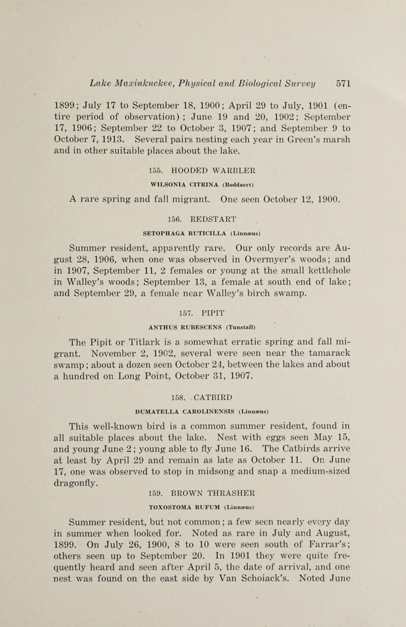 1899; July 17 to September 18, 1900; April 29 to July, 1901 (en¬ tire period of observation); June 19 and 20, 1902; September 17, 1906; September 22 to October 3, 1907; and September 9 to October 7, 1913. Several pairs nesting each year in Green’s marsh and in other suitable places about the lake. 155. HOODED WARBLER WILSONIA CITRINA (Boddaert) A rare spring and fall migrant. One seen October 12, 1900. 156. REDSTART SETOPHAGA RUTICILLA (Linnams) Summer resident, apparently rare. Our only records are Au¬ gust 28, 1906, when one was observed in Overmyer’s woods; and in 1907, September 11, 2 females or young at the small kettlehole in Walley’s woods; September 13, a female at south end of lake; and September 29, a female near Walley’s birch swamp. 157. PIPIT ANTHUS RUBESCENS (Tunstall) The Pipit or Titlark is a somewhat erratic spring and fall mi¬ grant. November 2, 1902, several were seen near the tamarack swamp; about a dozen seen October 24, between the lakes and about a hundred on Long Point, October 31, 1907. 158. CATBIRD DUMATELLA CAROLINENSIS (Linnaeus) This well-known bird is a common summer resident, found in all suitable places about the lake. Nest with eggs seen May 15, and young June 2; young able to fly June 16. The Catbirds arrive at least by April 29 and remain as late as October 11. On June 17, one was observed to stop in midsong and snap a medium-sized dragonfly. 159. BROWN THRASHER TOXOSTOMA RUFUM (Linnams) Summer resident, but not common; a few seen nearly every day in summer when looked for. Noted as rare in July and August, 1899. On July 26, 1900, 8 to 10 were seen south of Farrar’s; others seen up to September 20. In 1901 they were quite fre¬ quently heard and seen after April 5, the date of arrival, and one nest was found on the east side by Van Schoiack’s. Noted June