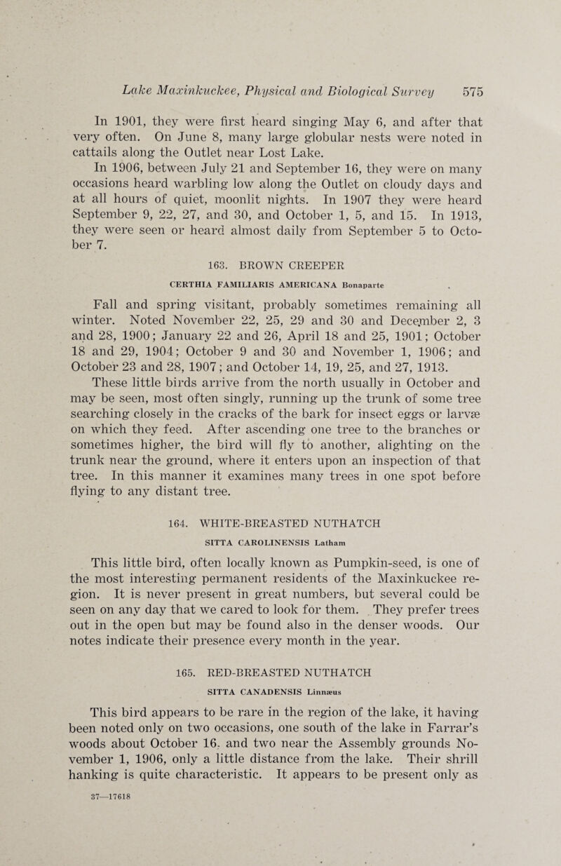 In 1901, they were first heard singing May 6, and after that very often. On June 8, many large globular nests were noted in cattails along the Outlet near Lost Lake. In 1906, between July 21 and September 16, they were on many occasions heard warbling low along the Outlet on cloudy days and at all hours of quiet, moonlit nights. In 1907 they were heard September 9, 22, 27, and 30, and October 1, 5, and 15. In 1913, they were seen or heard almost daily from September 5 to Octo¬ ber 7. 163. BROWN CREEPER CERTHIA FAMILIARIS AMERICANA Bonaparte Fall and spring visitant, probably sometimes remaining all winter. Noted November 22, 25, 29 and 30 and Deceynber 2, 3 and 28, 1900; January 22 and 26, April 18 and 25, 1901; October 18 and 29, 1904; October 9 and 30 and November 1, 1906; and October 23 and 28, 1907; and October 14, 19, 25, and 27, 1913. These little birds arrive from the north usually in October and may be seen, most often singly, running up the trunk of some tree searching closely in the cracks of the bark for insect eggs or larvse on which they feed. After ascending one tree to the branches or sometimes higher, the bird will fly to another, alighting on the trunk near the ground, where it enters upon an inspection of that tree. In this manner it examines many trees in one spot before flying to any distant tree. 164. WHITE-BREASTED NUTHATCH SITTA CAROLINENSIS Latham This little bird, often locally known as Pumpkin-seed, is one of the most interesting permanent residents of the Maxinkuckee re¬ gion. It is never present in great numbers, but several could be seen on any day that we cared to look for them. They prefer trees out in the open but may be found also in the denser woods. Our notes indicate their presence every month in the year. 165. RED-BREASTED NUTHATCH SITTA CANADENSIS Linmeus This bird appears to be rare in the region of the lake, it having been noted only on two occasions, one south of the lake in Farrar’s woods about October 16. and two near the Assembly grounds No¬ vember 1, 1906, only a little distance from the lake. Their shrill hanking is quite characteristic. It appears to be present only as 37—17618