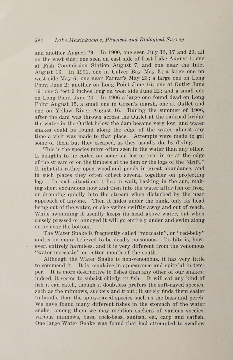 and another August 29. In 1900, one seen July 13, 17 and 20, all on the west side; one seen on east side of Lost Lake August 1, one at Fish Commission Station August 7, and one near the Inlet August 16. In 1991, one in Culver Bay May 3; a large one on west side May 6; one near Farrar’s May 23; a large one on Long Point June 2; another on Long Point June 16; one at Outlet June 19; one 3 feet 9 inches long on west side June 22; and a small one on Long Point June 24. In 1906 a large one found dead on Long Point August 15, a small one in Green’s marsh, one at Outlet and one on Yellow River August 16. During the summer of 1906, after the dam was thrown across the Outlet at the railroad bridge the water in the Outlet below the dam became very low, and water snakes could be found along the edge of the water almost any time a visit was made to that place. Attempts were made to get some of them but they escaped, as they usually do, by diving. This is the species more often seen in the water than any other. It delights to lie coiled on some old log or root in or at the edge of the stream or on the timbers at the dam or the logs of the “drift.” It inhabits rather open woodland ponds in great abundance, and in such places they often collect several together on projecting logs. In such situations it lies in wait, basking in the sun, mak¬ ing short excursions now and then into the water after fish or frog, or dropping quietly into the stream when disturbed by the near approach of anyone. Then it hides under the bank, only its head being out of the water, or else swims swiftly away and out of reach. While swimming it usually keeps its head above water, but when closely pressed or annoyed it will go entirely under and swim along on or near the bottom. The Water Snake is frequently called “moccasin”, or “red-belly” and is by many believed to be deadly poisonous. Its bite is, how¬ ever, entirely harmless, and it is very different from the venomous “water-moccasin” or cotton-mouth of the south. Although the Water Snake is non-venomous, it has very little to commend it. It is repulsive in appearance and spiteful in tem¬ per. It is more destructive to fishes than any other of our snakes; indeed, it seems to subsist chiefly cn fish. It will eat any kind of fish it can catch, though it doubtless prefers the soft-rayed species, such as the minnows, suckers and trout; it surely finds them easier to handle than the spiny-rayed species such as the bass and perch. We have found many different fishes in the stomach of the water snake; among them we may mention suckers of various species, various minnows, bass, rock-bass, sunfish, eel, carp and catfish. One large Water Snake was found that had attempted to swallow