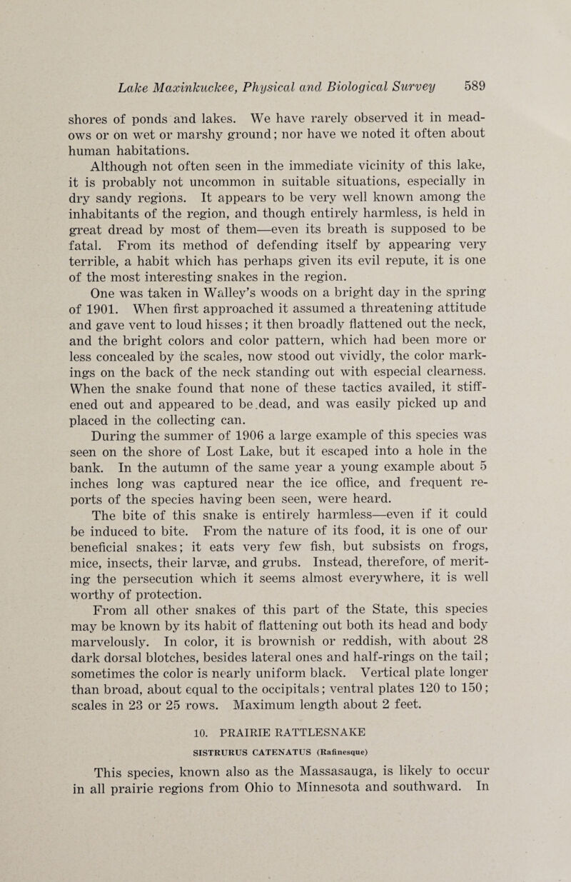 shores of ponds and lakes. We have rarely observed it in mead¬ ows or on wet or marshy ground; nor have we noted it often about human habitations. Although not often seen in the immediate vicinity of this lake, it is probably not uncommon in suitable situations, especially in dry sandy regions. It appears to be very well known among the inhabitants of the region, and though entirely harmless, is held in great dread by most of them—even its breath is supposed to be fatal. From its method of defending itself by appearing very terrible, a habit which has perhaps given its evil repute, it is one of the most interesting snakes in the region. One was taken in Walley’s woods on a bright day in the spring of 1901. When first approached it assumed a threatening attitude and gave vent to loud hisses; it then broadly flattened out the neck, and the bright colors and color pattern, which had been more or less concealed by the scales, now stood out vividly, the color mark¬ ings on the back of the neck standing out with especial clearness. When the snake found that none of these tactics availed, it stiff¬ ened out and appeared to be.dead, and was easily picked up and placed in the collecting can. During the summer of 1906 a large example of this species was seen on the shore of Lost Lake, but it escaped into a hole in the bank. In the autumn of the same year a young example about 5 inches long was captured near the ice office, and frequent re¬ ports of the species having been seen, were heard. The bite of this snake is entirely harmless—even if it could be induced to bite. From the nature of its food, it is one of our beneficial snakes; it eats very few fish, but subsists on frogs, mice, insects, their larvse, and grubs. Instead, therefore, of merit¬ ing the persecution which it seems almost everywhere, it is well worthy of protection. From all other snakes of this part of the State, this species may be known by its habit of flattening out both its head and body marvelously. In color, it is brownish or reddish, with about 28 dark dorsal blotches, besides lateral ones and half-rings on the tail; sometimes the color is nearly uniform black. Vertical plate longer than broad, about equal to the occipitals; ventral plates 120 to 150; scales in 23 or 25 rows. Maximum length about 2 feet. 10. PRAIRIE RATTLESNAKE SISTRURUS CATENATUS (Rafinesque) This species, known also as the Massasauga, is likely to occur in all prairie regions from Ohio to Minnesota and southward. In