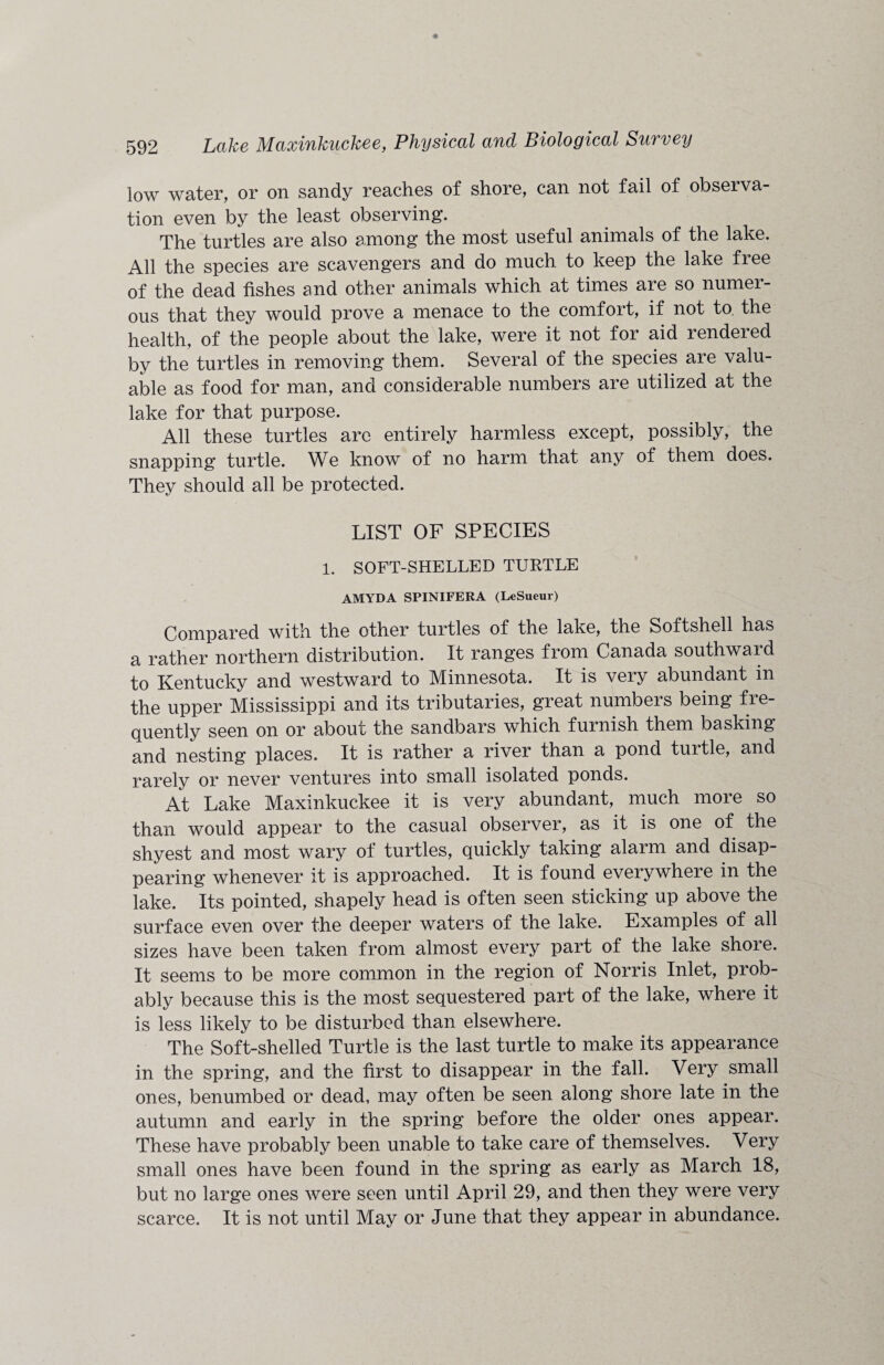 low water, or on sandy reaches of shore, can not fail of observa¬ tion even by the least observing. The turtles are also among the most useful animals of the lake. All the species are scavengers and do much to keep the lake free of the dead fishes and other animals which at times are so numer¬ ous that they would prove a menace to the comfort, if not to. the health, of the people about the lake, were it not for aid rendered by the turtles in removing them. Several of the species are valu¬ able as food for man, and considerable numbers are utilized at the lake for that purpose. All these turtles are entirely harmless except, possibly, the snapping turtle. We know of no harm that any of them does. They should all be protected. LIST OF SPECIES 1. SOFT-SHELLED TURTLE AMYDA SPINIFERA (LeSueur) Compared with the other turtles of the lake, the Softshell has a rather northern distribution. It ranges from Canada southward to Kentucky and westward to Minnesota. It is very abundant in the upper Mississippi and its tributaries, great numbeis being fie quently seen on or about the sandbars which furnish them basking and nesting places. It is rather a river than a pond turtle, and rarely or never ventures into small isolated ponds. At Lake Maxinkuckee it is very abundant, much more so than would appear to the casual observer, as it is one of the shyest and most wary of turtles, quickly taking alarm and disap¬ pearing whenever it is approached. It is found everywhere in the lake. Its pointed, shapely head is often seen sticking up above the surface even over the deeper waters of the lake. Examples of all sizes have been taken from almost every part of the lake shore. It seems to be more common in the region of Norris Inlet, prob¬ ably because this is the most sequestered part of the lake, where it is less likely to be disturbed than elsewhere. The Soft-shelled Turtle is the last turtle to make its appearance in the spring, and the first to disappear in the fall. Very small ones, benumbed or dead, may often be seen along shore late in the autumn and early in the spring before the older ones appear. These have probably been unable to take care of themselves. Very small ones have been found in the spring as early as March 18, but no large ones were seen until April 29, and then they were very scarce. It is not until May or June that they appear in abundance.