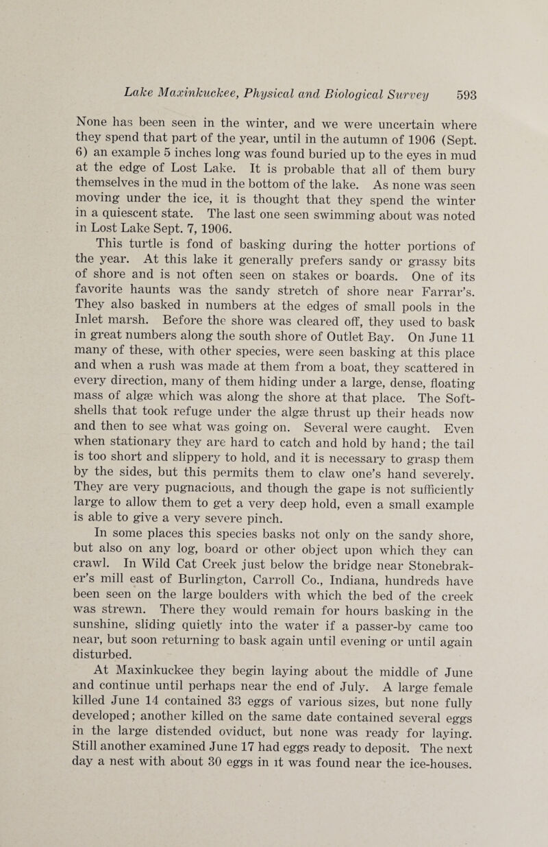 None has been seen in the winter, and we were uncertain where they spend that part of the year, until in the autumn of 1906 (Sept. 6) an example 5 inches long was found buried up to the eyes in mud at the edge of Lost Lake. It is probable that all of them bury themselves in the mud in the bottom of the lake. As none was seen moving under the ice, it is thought that they spend the winter in a quiescent state. The last one seen swimming about was noted in Lost Lake Sept. 7, 1906. This turtle is fond of basking during the hotter portions of the year. At this lake it generally prefers sandy or grassy bits of shore and is not often seen on stakes or boards. One of its favorite haunts was the sandy stretch of shore near Farrar’s. They also basked in numbers at the edges of small pools in the Inlet marsh. Before the shore was cleared off, they used to bask in great numbers along the south shore of Outlet Bay. On June 11 many of these, with other species, were seen basking at this place and when a rush was made at them from a boat, they scattered in every direction, many of them hiding under a large, dense, floating mass of algae which was along the shore at that place. The Soft- shells that took refuge under the algae thrust up their heads now and then to see what was going on. Several were caught. Even when stationary they are hard to catch and hold by hand; the tail is too short and slippery to hold, and it is necessary to grasp them by the sides, but this permits them to claw one’s hand severely. They are very pugnacious, and though the gape is not sufficiently large to allow them to get a very deep hold, even a small example is able to give a very severe pinch. In some places this species basks not only on the sandy shore, but also on any log, board or other object upon which they can crawl. In Wild Cat Creek just below the bridge near Stonebrak- er’s mill east of Burlington, Carroll Co., Indiana, hundreds have been seen on the large boulders with which the bed of the creek was strewn. There they would remain for hours basking in the sunshine, sliding quietly into the water if a passer-by came too near, but soon returning to bask again until evening or until again disturbed. At Maxinkuekee they begin laying about the middle of June and continue until perhaps near the end of July. A large female killed June 14 contained 33 eggs of various sizes, but none fully developed; another killed on the same date contained several eggs in the large distended oviduct, but none was ready for laying. Still another examined June 17 had eggs ready to deposit. The next day a nest with about 30 eggs in it was found near the ice-houses.