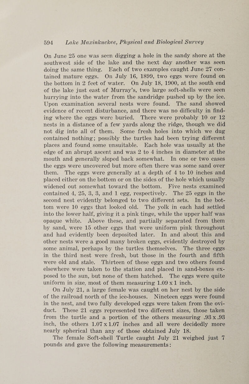 On June 25 one was seen digging a hole in the sandy shore at the southwest side of the lake and the next day another was seen doing the same thing. Each of two examples caught June 27 con¬ tained mature eggs. On July 16, 1899, two eggs were found on the bottom in 2 feet of water. On July 18, 1900, at the south end of the lake just east of Murray’s, two large soft-shells were seen hurrying into the water from the sandridge pushed up by the ice. Upon examination several nests were found. The sand showed evidence of recent disturbance, and there was no difficulty in find¬ ing where the eggs were buried. There were probably 10 or 12 nests in a distance of a few yards along the ridge, though we did not dig into all of them. Some fresh holes into which we dug contained nothing; possibly the turtles had been trying different places and found some unsuitable. Each hole was usually at the edge of an abrupt ascent and was 2 to 4 inches in diameter at the mouth and generally sloped back somewhat. In one or two cases the eggs were uncovered but more often there was some sand over them. The eggs were generally at a depth of 4 to 10 inches and placed either on the bottom or on the sides of the hole which usually widened out somewhat toward the bottom. Five nests examined contained 4, 25, 3, 3, and 1 egg, respectively. The 25 eggs in the second nest evidently belonged to two different sets. In the bot¬ tom were 10 eggs that looked old. The yolk in each had settled into the lower half, giving it a pink tinge, while the upper half was opaque white. Above these, and partially separated from them by sand, were 15 other eggs that were uniform pink throughout and had evidently been deposited later. In and about this and other nests were a good many broken eggs, evidently destroyed by some animal, perhaps by the turtles themselves. The three eggs in the third nest were fresh, but those in the fourth and fifth were old and stale. Thirteen of these eggs and two others found elsewhere were taken to the station and placed in sand-boxes ex¬ posed to the sun, but none of them hatched. The eggs were quite uniform in size, most of them measuring 1.09 x 1 inch. On July 21, a large female was caught on her nest by the side of the railroad north of the ice-houses. Nineteen eggs were found in the nest, and two fully developed eggs were taken from the ovi¬ duct. These 21 eggs represented two different sizes, those taken from the turtle and a portion of the others measuring .93 x .93 inch, the others 1.07 x 1.07 inches and all were decidedly more nearly spherical than any of those obtained July 18. The female Soft-shell Turtle caught July 21 weighed just 7 pounds and gave the following measurements: