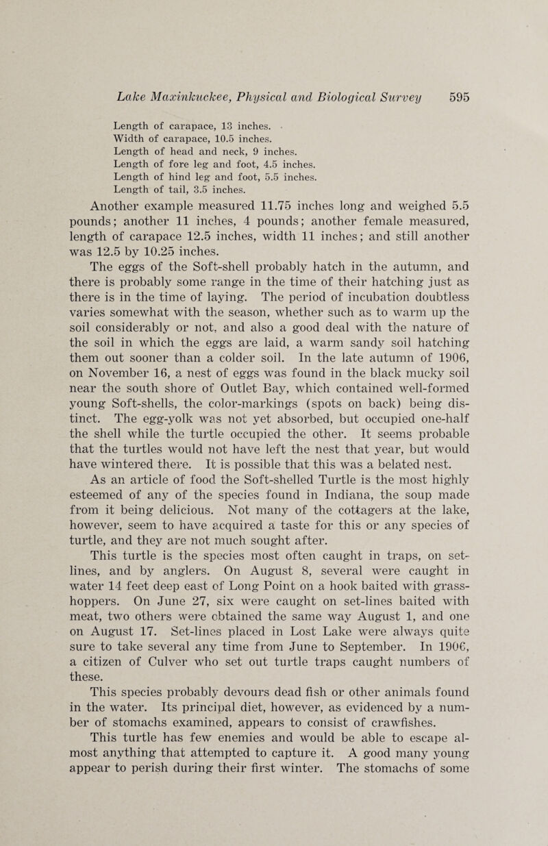 Length of carapace, 13 inches. Width of carapace, 10.5 inches. Length of head and neck, 9 inches. Length of fore leg and foot, 4.5 inches. Length of hind leg and foot, 5.5 inches. Length of tail, 3.5 inches. Another example measured 11.75 inches long and weighed 5.5 pounds; another 11 inches, 4 pounds; another female measured, length of carapace 12.5 inches, width 11 inches; and still another was 12.5 by 10.25 inches. The eggs of the Soft-shell probably hatch in the autumn, and there is probably some range in the time of their hatching just as there is in the time of laying. The period of incubation doubtless varies somewhat with the season, whether such as to warm up the soil considerably or not, and also a good deal with the nature of the soil in which the eggs are laid, a warm sandy soil hatching them out sooner than a colder soil. In the late autumn of 1906, on November 16, a nest of eggs was found in the black mucky soil near the south shore of Outlet Bay, which contained well-formed young Soft-shells, the color-markings (spots on back) being dis¬ tinct. The egg-yolk was not yet absorbed, but occupied one-half the shell while the turtle occupied the other. It seems probable that the turtles would not have left the nest that year, but would have wintered there. It is possible that this was a belated nest. As an article of food the Soft-shelled Turtle is the most highly esteemed of any of the species found in Indiana, the soup made from it being delicious. Not many of the cottagers at the lake, however, seem to have acquired a taste for this or any species of turtle, and they are not much sought after. This turtle is the species most often caught in traps, on set¬ lines, and by anglers. On August 8, several were caught in water 14 feet deep east of Long Point on a hook baited with grass¬ hoppers. On June 27, six were caught on set-lines baited with meat, two others were obtained the same way August 1, and one on August 17. Set-lines placed in Lost Lake were always quite sure to take several any time from June to September. In 1906, a citizen of Culver who set out turtle traps caught numbers of these. This species probably devours dead fish or other animals found in the water. Its principal diet, however, as evidenced by a num¬ ber of stomachs examined, appears to consist of crawfishes. This turtle has few enemies and would be able to escape al¬ most anything that attempted to capture it. A good many young appear to perish during their first winter. The stomachs of some