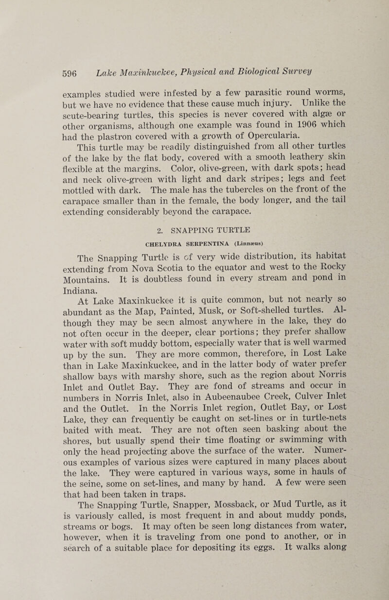 examples studied were infested by a few parasitic round worms, but we have no evidence that these cause much injury. Unlike the scute-bearing turtles, this species is never covered with algse or other organisms, although one example was found in 1906 which had the plastron covered with a growth of Opercularia. This turtle may be readily distinguished from all other turtles of the lake by the flat body, covered with a smooth leathery skin flexible at the margins. Color, olive-green, with dark spots; head and neck olive-green with light and dark stripes; legs and feet mottled with dark. The male has the tubercles on the front of the carapace smaller than in the female, the body longer, and the tail extending considerably beyond the carapace. 2. SNAPPING TURTLE CHELYDRA SERPENTINA (Linnaeus) The Snapping Turtle is of very wide distribution, its habitat extending from Nova Scotia to the equator and west to the Rocky Mountains. It is doubtless found in every stream and pond in Indiana. At Lake Maxinkuckee it is quite common, but not nearly so abundant as the Map, Painted, Musk, or Soft-shelled turtles. Al¬ though they may be seen almost anywhere in the lake, they do not often occur in the deeper, clear portions; they prefer shallow water with soft muddy bottom, especially water that is well warmed up by the sun. They are more common, therefore, in Lost Lake than in Lake Maxinkuckee, and in the latter body of water prefer shallow bays with marshy shore, such as the region about Norris Inlet and Outlet Bay. They are fond of streams and occur in numbers in Norris Inlet, also in Aubeenaubee Creek, Culver Inlet and the Outlet. In the Norris Inlet region, Outlet Bay, or Lost Lake, they can frequently be caught on set-lines or in turtle-nets baited with meat. They are not often seen basking about the shores, but usually spend their time floating or swimming with only the head projecting above the surface of the water. Numer¬ ous examples of various sizes were captured in many places about the lake. They were captured in various ways, some in hauls of the seine, some on set-lines, and many by hand. A few were seen that had been taken in traps. The Snapping Turtle, Snapper, Mossback, or Mud Turtle, as it is variously called, is most frequent in and about muddy ponds, streams or bogs. It may often be seen long distances from water, however, when it is traveling from one pond to another, or in search of a suitable place for depositing its eggs. It walks along