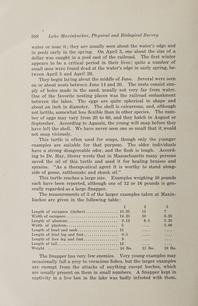 water or near it; they are usually seen about the water’s edge and in pools early in the spring. On April 3, one about the size of a dollar was caught in a pool east of the railroad. The first winter appears to be a critical period in their lives; quite a number of small ones were found dead at the water’s edge in early spring, be¬ tween April 3 and April 26. They begin laying about the middle of June. Several were seen on or about nests between June 14 and 20. The nests consist sim¬ ply of holes made in the sand, usually not very far from water. One of the favorite nesting places was the railroad embankment between the lakes. The eggs are quite spherical in shape and about an inch in diameter. The shell is calcareous, and, although not brittle, somewhat less flexible than in other species. The num¬ ber of eggs may vary from 20 to 60, and they hatch in August or September. According to Agassiz, the young will snap before they have left the shell. We have never seen one so small that it would not snap viciously. This turtle is often used for soups, though only the younger examples are suitable for that purpose. The older individuals have a strong disagreeable odor, and the flesh is tough. Accord¬ ing to Dr. Hay, Storer wrote that in Massachusetts many persons saved the oil of this turtle and used it for healing bruises and sprains. “As a therapeutical agent it is worthy to stand along¬ side of goose, rattlesnake and skunk oil.” This turtle reaches a large size. Examples weighing 40 pounds each have been reported, although one of 12 or 16 pounds is gen¬ erally regarded as a large Snapper. The measurements of 3 of the larger examples taken at Maxin¬ kuckee are given in the following table: 1 2 3 Length of carapace (inches). 13.25 11 7 Width of carapace. 14.25 10 6.25 Length of plastron. 9.12 8.5 5.25 Width of plastron. 5 . . . . 3.06 Length of head and neck. 11 • . • • .... Length of hind leg and foot. 9.5 .... • • • • Length of fore leg and foot. 9 • • • • • • • • Length of tail. 12 • • • • • • • • Weight . 16 lbs. 13 lbs. 10 lbs. The Snapper has very few enemies. Very young examples may occasionally fall a prey to voracious fishes, but the larger examples are exempt from the attacks of anything except leeches, which are usually present on them in small numbers. A Snapper kept in captivity in a live box in the lake was badly infested with them.
