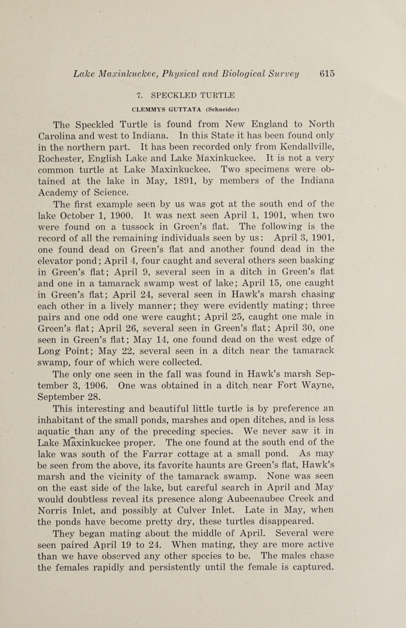 7. SPECKLED TURTLE CLEMMYS GUTTATA (Schneider) The Speckled Turtle is found from New England to North Carolina and west to Indiana. In this State it has been found only in the northern part. It has been recorded only from Kendallville, Rochester, English Lake and Lake Maxinkuckee. It is not a very common turtle at Lake Maxinkuckee. Two specimens were ob¬ tained at the lake in May, 1891, by members of the Indiana Academy of Science. The first example seen by us was got at the south end of the lake October 1, 1900. It was next seen April 1, 1901, when two were found on a tussock in Green’s flat. The following is the record of all the remaining individuals seen by us: April 3, 1901, one found dead on Green’s flat and another found dead in the elevator pond; April 4, four caught and several others seen basking in Green’s flat; April 9, several seen in a ditch in Green’s flat and one in a tamarack swamp west of lake; April 15, one caught in Green’s flat; April 24, several seen in Hawk’s marsh chasing each other in a lively manner; they were evidently mating; three pairs and one odd one were caught; April 25, caught one male in Green’s flat; April 26, several seen in Green’s flat; April 30, one seen in Green’s flat; May 14, one found dead on the west edge of Long Point; May 22, several seen in a ditch near the tamarack swamp, four of which were collected. The only one seen in the fall was found in Hawk’s marsh Sep¬ tember 3, 1906. One was obtained in a ditch near Fort Wayne, September 28. This interesting and beautiful little turtle is by preference an inhabitant of the small ponds, marshes and open ditches, and is less aquatic than any of the preceding species. We never saw it in Lake Maxinkuckee proper. The one found at the south end of the lake was south of the Farrar cottage at a small pond. As may be seen from the above, its favorite haunts are Green’s flat, Hawk’s marsh and the vicinity of the tamarack swamp. None was seen on the east side of the lake, but careful search in April and May would doubtless reveal its presence along Aubeenaubee Creek and Norris Inlet, and possibly at Culver Inlet. Late in May, when the ponds have become pretty dry, these turtles disappeared. They began mating about the middle of April. Several were seen paired April 19 to 24. When mating, they are more active than we have observed any other species to be. The males chase the females rapidly and persistently until the female is captured.