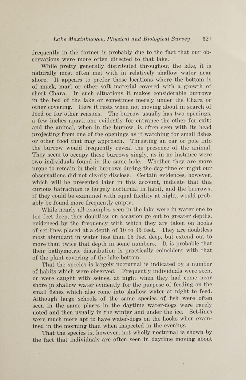 frequently in the former is probably due to the fact that our ob¬ servations were more often directed to that lake. While pretty generally distributed throughout the lake, it is naturally most often met with in relatively shallow water near shore. It appears to prefer those locations where the bottom is of muck, marl or other soft material covered with a growth of short Chara. In such situations it makes considerable burrows in the bed of the lake or sometimes merely under the Chara or other covering. Here it rests when not moving about in search of food or for other reasons. The burrow usually has two openings, a few inches apart, one evidently for entrance the other for exit; and the animal, when in the burrow, is often seen with its head projecting from one of the openings as if watching for small fishes or other food that may approach. Thrusting an oar or pole into the burrow would frequently reveal the presence of the animal. They seem to occupy these burrows singly, as in no instance were two individuals found in the same hole. Whether they are more prone to remain in their burrows during the day-time or night our observations did not clearly disclose. Certain evidences, however, which will be presented later in this account, indicate that this curious batrachian is largely nocturnal in habit, and the burrows, if they could be examined with equal facility at night, would prob¬ ably be found more frequently empty. While nearly all examples seen in the lake were in water one to ten feet deep, they doubtless on occasion go out to greater depths, evidenced by the frequency with which they are taken on hooks of set-lines placed at a depth of 10 to 35 feet. They are doubtless most abundant in water less than 15 feet deep, but extend out to more than twice that depth in some numbers. It is probable that their bathymetric distribution is practically coincident with that of the plant covering of the lake bottom. That the species is largely nocturnal is indicated by a number of habits which were observed. Frequently individuals were seen, or were caught with seines, at night when they had come near shore in shallow water evidently for the purpose of feeding on the small fishes which also come into shallow water at night to feed. Although large schools of the same species of fish were often seen in the same places in the daytime water-dogs were rarely noted and then usually in the winter and under the ice. Set-lines were much more apt to have water-dogs on the hooks when exam¬ ined in the morning than when inspected in the evening. That the species is, however, not wholly nocturnal is shown by the fact that individuals are often seen in daytime moving about