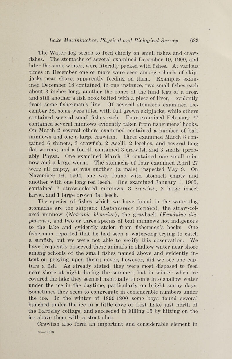 The Water-dog seems to feed chiefly on small fishes and craw¬ fishes. The stomachs of several examined December 10, 1900, and later the same winter, were literally packed with fishes. At various times in December one or more were seen among schools of skip¬ jacks near shore, apparently feeding on them. Examples exam¬ ined December 18 contained, in one instance, two small fishes each about 3 inches long, another the bones of the hind legs of a frog, and still another a fish hook baited with a piece of liver,—evidently from some fisherman's line. Of several stomachs examined De¬ cember 28, some were filled with full grown skipjacks, while others contained several small fishes each. Four examined February 27 contained several minnows evidently taken from fishermens' hooks. On March 2 several others examined contained a number of bait minnows and one a large crawfish. Three examined March 8 con¬ tained 6 shiners, 3 crawfish, 2 Aselli, 2 leeches, and several long flat worms; and a fourth contained 3 crawfish and 3 snails (prob¬ ably Physa. One examined March 18 contained one small min¬ now and a large worm. The stomachs of four examined April 27 were all empty, as was another (a male) inspected May 9. On November 16, 1904, one was found with stomach empty and another with one long red leech. One examined January 1, 1905, contained 2 straw-colored minnows, 3 crawfish, 2 large insect larvse, and 1 large brown flat leech. The species of fishes which we have found in the water-dog stomachs are the skipjack (Labidesthes sic cuius), the straw-col¬ ored minnow (Notropis blennius), the gray back (Fundulus dia- phanus), and two or three species of bait minnows not indigenous to the lake and evidently stolen from fishermen's hooks. One fisherman reported that he had seen a water-dog trying to catch a sunfish, but we were not able to verify this observation. We have frequently observed these animals in shallow water near shore among schools of the small fishes named above and evidently in¬ tent on preying upon them; never, however, did we see one cap¬ ture a fish. As already stated, they were most disposed to feed near shore at night during the summer; but in winter when ice covered the lake they seemed habitually to come into shallow water under the ice in the daytime, particularly on bright sunny days. Sometimes they seem to congregate in considerable numbers under the ice. In the winter of 1899-1900 some boys found several bunched under the ice in a little cove of Lost Lake just north of the Bardsley cottage, and succeeded in killing 15 by hitting on the ice above them with a stout club. Crawfish also form an important and considerable element in 40—17618