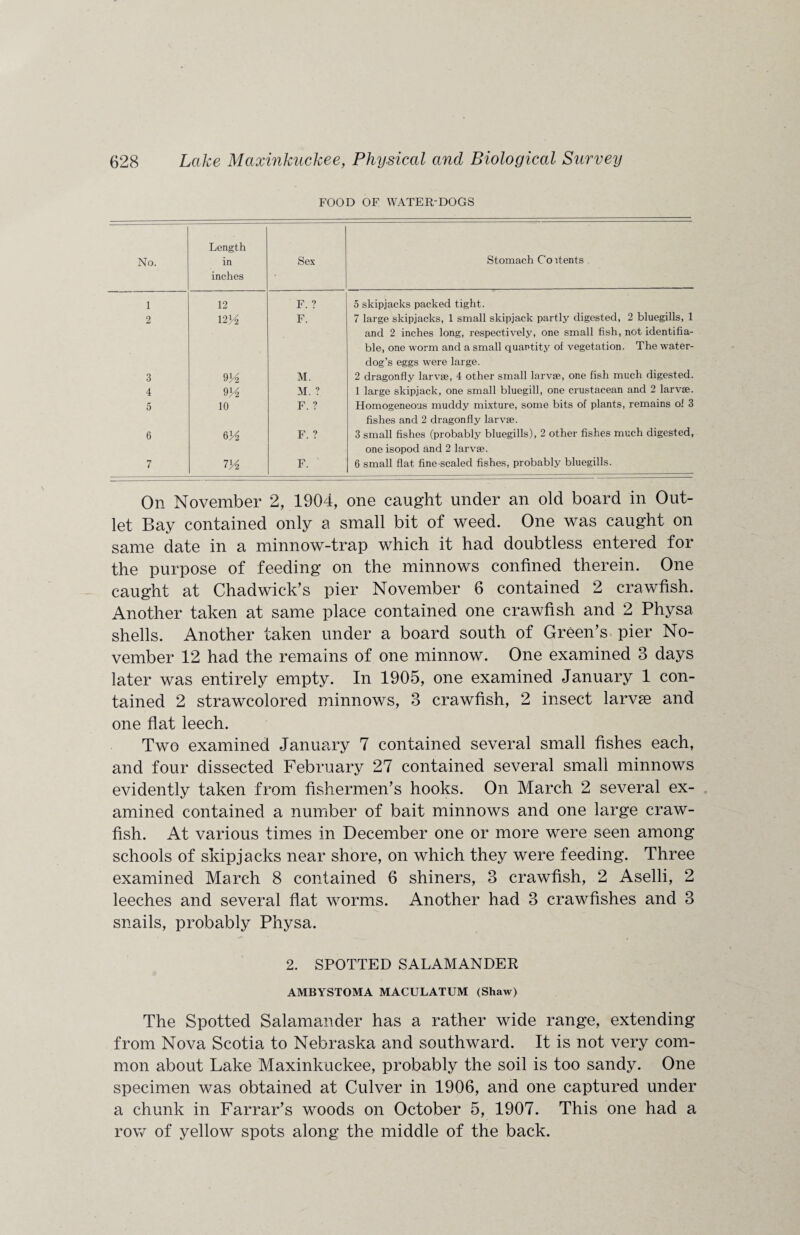 FOOD OF WATER-DOGS No. Length in inches Sex Stomach Co itents 1 12 F. ? 5 skipjacks packed tight. 2 12 Yt F. 7 large skipjacks, 1 small skipjack partly digested, 2 bluegills, 1 and 2 inches long, respectively, one small fish, not identifia¬ ble, one worm and a small quantity of vegetation. The water- dog’s eggs were large. 3 9 H M. 2 dragonfly larvae, 4 other small larvae, one fish much digested. 4 9A M. ? 1 large skipjack, one small bluegill, one crustacean and 2 larvae. 5 10 F. ? Homogeneous muddy mixture, some bits of plants, remains of 3 fishes and 2 dragonfly larvae. 6 6 A F. ? 3 small fishes (probably bluegills), 2 other fishes much digested, one isopod and 2 larvae. 7 VA F. 6 small flat fine-scaled fishes, probably bluegills. On November 2, 1904, one caught under an old board in Out¬ let Bay contained only a small bit of weed. One was caught on same date in a minnow-trap which it had doubtless entered for the purpose of feeding on the minnows confined therein. One caught at Chadwick’s pier November 6 contained 2 crawfish. Another taken at same place contained one crawfish and 2 Physa shells. Another taken under a board south of Green’s pier No¬ vember 12 had the remains of one minnow. One examined 3 days later was entirely empty. In 1905, one examined January 1 con¬ tained 2 strawcolored minnows, 3 crawfish, 2 insect larvse and one flat leech. Two examined January 7 contained several small fishes each, and four dissected February 27 contained several small minnows evidently taken from fishermen’s hooks. On March 2 several ex¬ amined contained a number of bait minnows and one large craw¬ fish. At various times in December one or more were seen among schools of skipjacks near shore, on which they were feeding. Three examined March 8 contained 6 shiners, 3 crawfish, 2 Aselli, 2 leeches and several flat worms. Another had 3 crawfishes and 3 snails, probably Physa. 2. SPOTTED SALAMANDER AMBYSTOMA MACULATUM (Shaw) The Spotted Salamander has a rather wide range, extending from Nova Scotia to Nebraska and southward. It is not very com¬ mon about Lake Maxinkuckee, probably the soil is too sandy. One specimen was obtained at Culver in 1906, and one captured under a chunk in Farrar’s woods on October 5, 1907. This one had a row of yellow spots along the middle of the back.