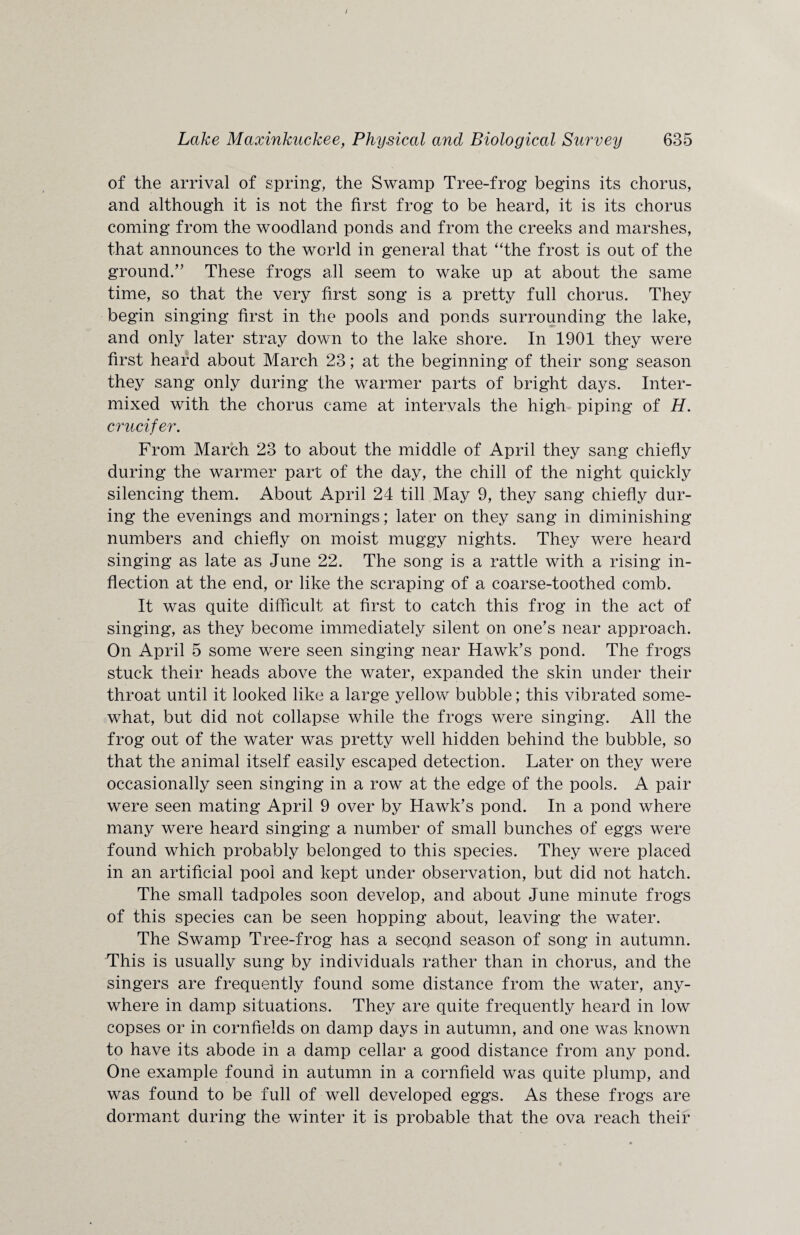 of the arrival of spring, the Swamp Tree-frog begins its chorus, and although it is not the first frog to be heard, it is its chorus coming from the woodland ponds and from the creeks and marshes, that announces to the world in general that “the frost is out of the ground/5 These frogs all seem to wake up at about the same time, so that the very first song is a pretty full chorus. They begin singing first in the pools and ponds surrounding the lake, and only later stray down to the lake shore. In 1901 they were first heard about March 23; at the beginning of their song season they sang only during the warmer parts of bright days. Inter¬ mixed with the chorus came at intervals the high piping of H. crucifer. From March 23 to about the middle of April they sang chiefly during the warmer part of the day, the chill of the night quickly silencing them. About April 24 till May 9, they sang chiefly dur¬ ing the evenings and mornings; later on they sang in diminishing numbers and chiefly on moist muggy nights. They were heard singing as late as June 22. The song is a rattle with a rising in¬ flection at the end, or like the scraping of a coarse-toothed comb. It was quite difficult at first to catch this frog in the act of singing, as they become immediately silent on one’s near approach. On April 5 some were seen singing near Hawk’s pond. The frogs stuck their heads above the water, expanded the skin under their throat until it looked like a large yellow bubble; this vibrated some¬ what, but did not collapse while the frogs were singing. All the frog out of the water was pretty well hidden behind the bubble, so that the animal itself easily escaped detection. Later on they were occasionally seen singing in a row at the edge of the pools. A pair were seen mating April 9 over by Hawk’s pond. In a pond where many were heard singing a number of small bunches of eggs were found which probably belonged to this species. They were placed in an artificial pool and kept under observation, but did not hatch. The small tadpoles soon develop, and about June minute frogs of this species can be seen hopping about, leaving the water. The Swamp Tree-frog has a secqnd season of song in autumn. This is usually sung by individuals rather than in chorus, and the singers are frequently found some distance from the water, any¬ where in damp situations. They are quite frequently heard in low copses or in cornfields on damp days in autumn, and one was known to have its abode in a damp cellar a good distance from any pond. One example found in autumn in a cornfield was quite plump, and was found to be full of well developed eggs. As these frogs are dormant during the winter it is probable that the ova reach their
