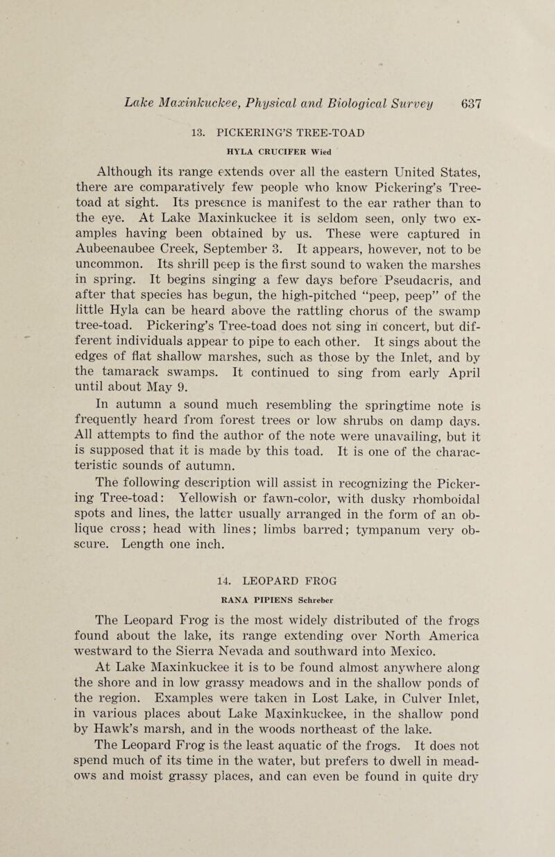 13. PICKERING’S TREE-TOAD HYLA CRUCIFER Wied Although its range extends over all the eastern United States, there are comparatively few people who know Pickering’s Tree- toad at sight. Its presence is manifest to the ear rather than to the eye. At Lake Maxinkuckee it is seldom seen, only two ex¬ amples having been obtained by us. These were captured in Aubeenaubee Creek, September 3. It appears, however, not to be uncommon. Its shrill peep is the first sound to waken the marshes in spring. It begins singing a few days before Pseudacris, and after that species has begun, the high-pitched “peep, peep” of the little Hyla can be heard above the rattling chorus of the swamp tree-toad. Pickering’s Tree-toad does not sing in concert, but dif¬ ferent individuals appear to pipe to each other. It sings about the edges of flat shallow marshes, such as those by the Inlet, and by the tamarack swamps. It continued to sing from early April until about May 9. In autumn a sound much resembling the springtime note is frequently heard from forest trees or low shrubs on damp days. All attempts to find the author of the note were unavailing, but it is supposed that it is made by this toad. It is one of the charac¬ teristic sounds of autumn. The following description will assist in recognizing the Picker¬ ing Tree-toad: Yellowish or fawn-color, with dusky rhomboidal spots and lines, the latter usually arranged in the form of an ob¬ lique cross; head with lines; limbs barred; tympanum very ob¬ scure. Length one inch. 14. LEOPARD FROG RANA PIPIENS Schreber The Leopard Frog is the most widely distributed of the frogs found about the lake, its range extending over North America westward to the Sierra Nevada and southward into Mexico. At Lake Maxinkuckee it is to be found almost anywhere along the shore and in low grassy meadows and in the shallow ponds of the region. Examples were taken in Lost Lake, in Culver Inlet, in various places about Lake Maxinkuckee, in the shallow pond by Hawk’s marsh, and in the woods northeast of the lake. The Leopard Frog is the least aquatic of the frogs. It does not spend much of its time in the water, but prefers to dwell in mead¬ ows and moist grassy places, and can even be found in quite dry