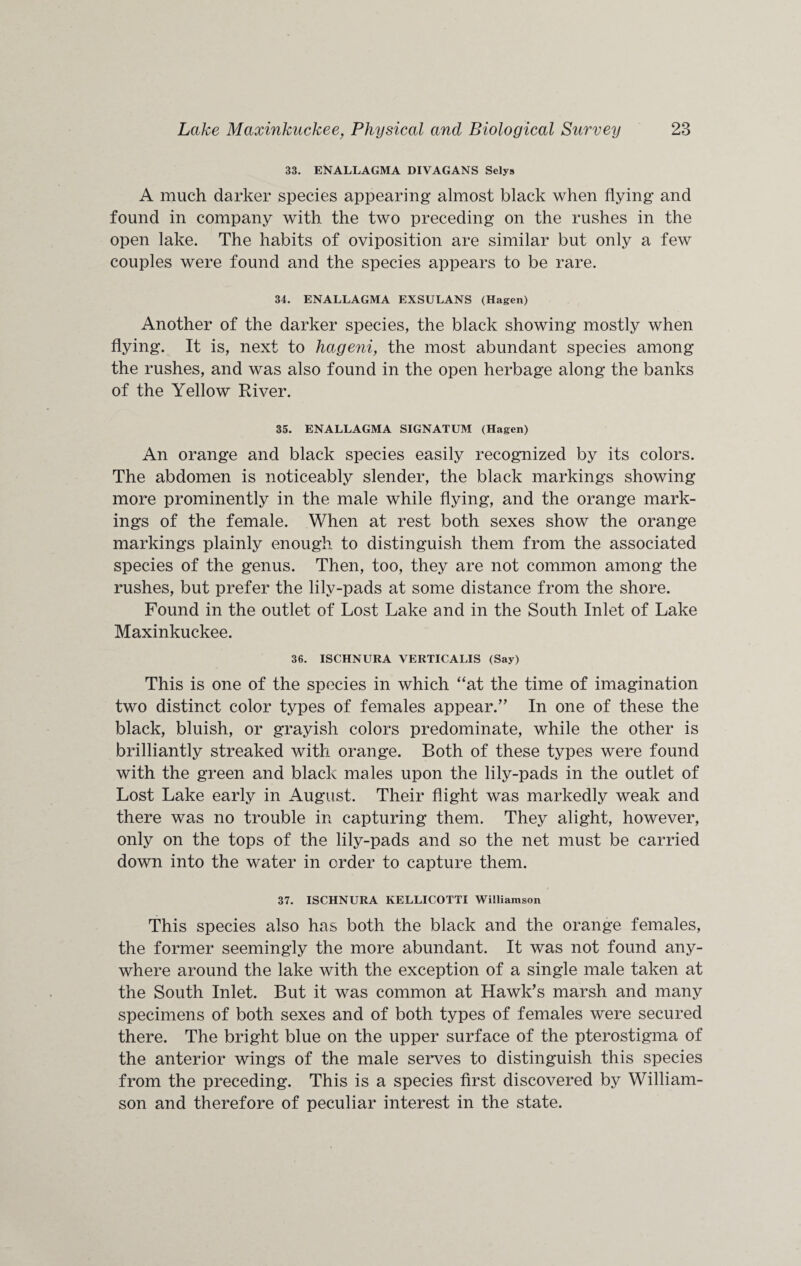 33. ENALLAGMA DIVAGANS Selys A much darker species appearing almost black when flying and found in company with the two preceding on the rushes in the open lake. The habits of oviposition are similar but only a few couples were found and the species appears to be rare. 34. ENALLAGMA EXSULANS (Hagen) Another of the darker species, the black showing mostly when flying. It is, next to hageni, the most abundant species among the rushes, and was also found in the open herbage along the banks of the Yellow River. 35. ENALLAGMA SIGNATUM (Hagen) An orange and black species easily recognized by its colors. The abdomen is noticeably slender, the black markings showing more prominently in the male while flying, and the orange mark¬ ings of the female. When at rest both sexes show the orange markings plainly enough to distinguish them from the associated species of the genus. Then, too, they are not common among the rushes, but prefer the lily-pads at some distance from the shore. Found in the outlet of Lost Lake and in the South Inlet of Lake Maxinkuckee. 36. ISCHNURA VERTICALIS (Say) This is one of the species in which “at the time of imagination two distinct color types of females appear.” In one of these the black, bluish, or grayish colors predominate, while the other is brilliantly streaked with orange. Both of these types were found with the green and black males upon the lily-pads in the outlet of Lost Lake early in August. Their flight was markedly weak and there was no trouble in capturing them. They alight, however, only on the tops of the lily-pads and so the net must be carried down into the water in order to capture them. 37. ISCHNURA KELLICOTTI Williamson This species also has both the black and the orange females, the former seemingly the more abundant. It was not found any¬ where around the lake with the exception of a single male taken at the South Inlet. But it was common at Hawk’s marsh and many specimens of both sexes and of both types of females were secured there. The bright blue on the upper surface of the pterostigma of the anterior wings of the male serves to distinguish this species from the preceding. This is a species first discovered by William¬ son and therefore of peculiar interest in the state.
