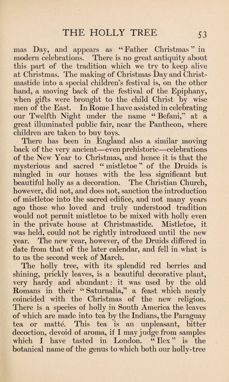 THE HOLLY TREE mas Day, and appears as 44 Father Christmas ” in modern celebrations. There is no great antiquity about this part of the tradition which we try to keep alive at Christmas. The making of Christmas Day and Christ- mastide into a special children’s festival is, on the other hand, a moving back of the festival of the Epiphany, when gifts were brought to the child Christ by wise men of the East. In Rome I have assisted in celebrating our Twelfth Night under the name 44 Befani,” at a great illuminated public fair, near the Pantheon, where children are taken to buy toys. There has been in England also a similar moving back of the very ancient—even prehistoric—celebrations of the New Year to Christmas, and hence it is that the mysterious and sacred 44 mistletoe ” of the Druids is mingled in our houses with the less significant but beautiful holly as a decoration. The Christian Church, however, did not, and does not, sanction the introduction of mistletoe into the sacred edifice, and not many years ago those who loved and truly understood tradition would not permit mistletoe to be mixed with holly even in the private house at Christmastide. Mistletoe, it was held, could not be rightly introduced until the new year. The new year, however, of the Druids differed in date from that of the later calendar, and fell in what is to us the second week of March. The holly tree, with its splendid red berries and shining, prickly leaves, is a beautiful decorative plant, very hardy and abundant: it was used by the old Romans in their 44 Saturnalia,” a feast which nearly coincided with the Christmas of the new religion. There is a species of holly in South America the leaves of which are made into tea by the Indians, the Paraguay tea or matte. This tea is an unpleasant, bitter decoction, devoid of aroma, if I may judge from samples which I have tasted in London. 44 Ilex ” is the botanical name of the genus to which both our holly-tree