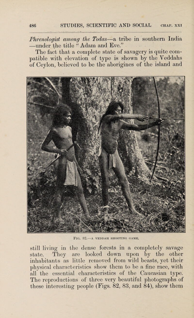 Phrenologist among the Todas—a tribe in southern India —under the title “ Adam and Eve.” The fact that a complete state of savagery is quite com¬ patible with elevation of type is shown by the Yeddahs of Ceylon, believed to be the aborigines of the island and Fig. 82.—a veddah shooting game. still living in the dense forests in a completely savage state. They are looked down upon by the other inhabitants as little removed from wild beasts, yet their physical characteristics show them to be a fine race, with all the essential characteristics of the Caucasian type. The reproductions of three very beautiful photographs of these interesting people (Figs. 82, 83, and 84), show them