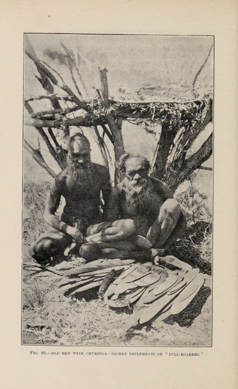 C £ a Fig. 86.—old men with churinga—sacred implements or BULL-ROARERS.