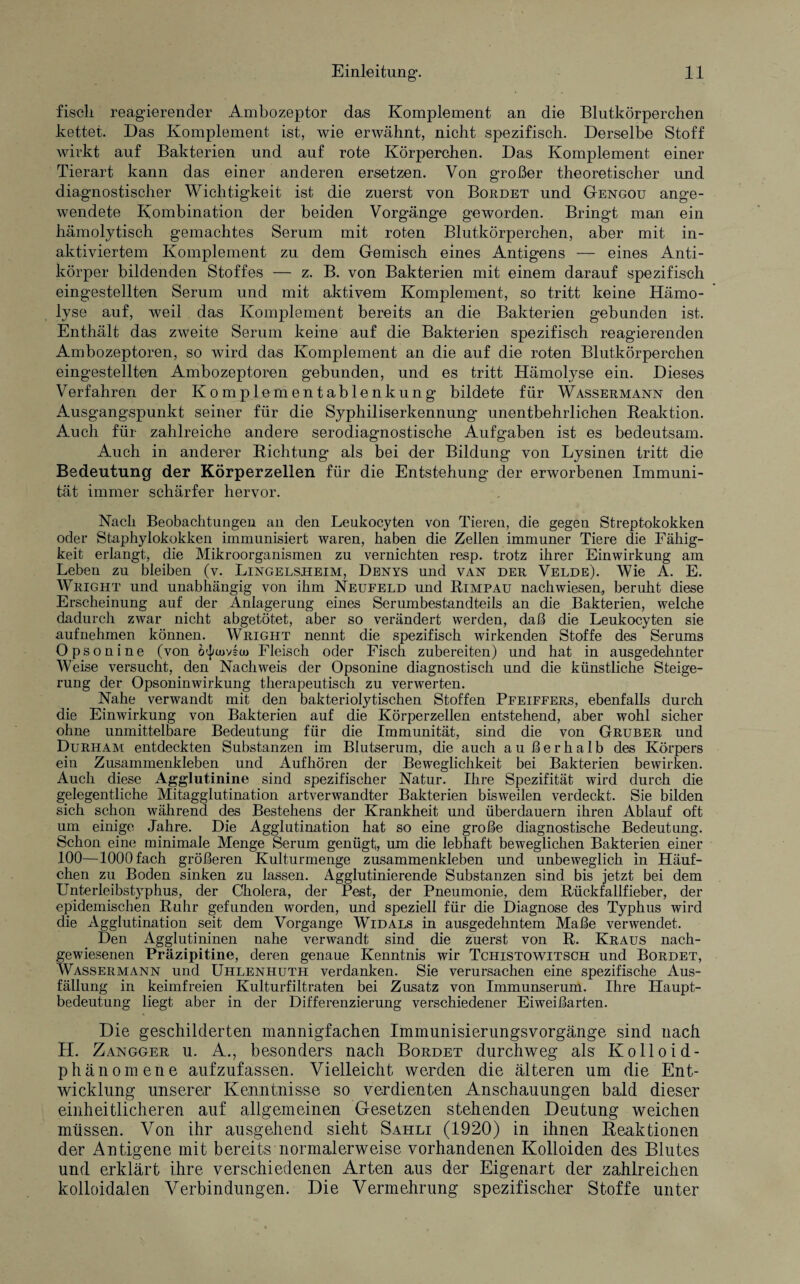 fisch reagierender Ambozeptor das Komplement an die Blutkörperchen kettet. Das Komplement ist, wie erwähnt, nicht spezifisch. Derselbe Stoff wirkt auf Bakterien und auf rote Körperchen. Das Komplement einer Tierart kann das einer anderen ersetzen. Von großer theoretischer und diagnostischer Wichtigkeit ist die zuerst von Bordet und Gengou ange¬ wendete Kombination der beiden Vorgänge geworden. Bringt man ein hämolytisch gemachtes Serum mit roten Blutkörperchen, aber mit in¬ aktiviertem Komplement zu dem Gemisch eines Antigens — eines Anti¬ körper bildenden Stoffes — z. B. von Bakterien mit einem darauf spezifisch eingestellten Serum und mit aktivem Komplement, so tritt keine Hämo¬ lyse auf, weil das Komplement bereits an die Bakterien gebunden ist. Enthält das zweite Serum keine auf die Bakterien spezifisch reagierenden Ambozeptoren, so wird das Komplement an die auf die roten Blutkörperchen eingestellten Ambozeptoren gebunden, und es tritt Hämolyse ein. Dieses Verfahren der Komplementablenkung bildete für Wassermann den Ausgangspunkt seiner für die Syphiliserkennung unentbehrlichen Reaktion. Auch für zahlreiche andere serodiagnostische Aufgaben ist es bedeutsam. Auch in anderer Richtung als bei der Bildung von Lysinen tritt die Bedeutung der Körperzellen für die Entstehung der erworbenen Immuni¬ tät immer schärfer hervor. Nach Beobachtungen an den Leukocyten von Tieren, die gegen Streptokokken oder Staphylokokken immunisiert waren, haben die Zellen immuner Tiere die Fähig¬ keit erlangt, die Mikroorganismen zu vernichten resp. trotz ihrer Einwirkung am Leben zu bleiben (v. Lingelsheim, Denys und van der Velde). Wie A. E. Wright und unabhängig von ihm Neufeld und Rimpau nach wiesen, beruht diese Erscheinung auf der Anlagerung eines Serumbestandteils an die Bakterien, welche dadurch zwar nicht abgetötet, aber so verändert werden, daß die Leukocyten sie auf nehmen können. Wright nennt die spezifisch wirkenden Stoffe des Serums Opsonine (von o^uovstu Fleisch oder Fisch zubereiten) und hat in ausgedehnter Weise versucht, den Nachweis der Opsonine diagnostisch und die künstliche Steige¬ rung der Opsoninwirkung therapeutisch zu verwerten. Nahe verwandt mit den bakteriolytischen Stoffen Pfeiffers, ebenfalls durch die Einwirkung von Bakterien auf die Körperzellen entstehend, aber wohl sicher ohne unmittelbare Bedeutung für die Immunität, sind die von Gruber und Durham entdeckten Substanzen im Blutserum, die auch außerhalb des Körpers ein Zusammenkleben und Aufhören der Beweglichkeit bei Bakterien bewirken. Auch diese Agglutinine sind spezifischer Natur. Ihre Spezifität wird durch die gelegentliche Mitagglutination artverwandter Bakterien bisweilen verdeckt. Sie bilden sich schon während des Bestehens der Krankheit und überdauern ihren Ablauf oft um einige Jahre. Die Agglutination hat so eine große diagnostische Bedeutung. Schon eine minimale Menge Serum genügt, um die lebhaft beweglichen Bakterien einer 100—1000 fach größeren Kulturmenge zusammenkleben und unbeweglich in Häuf¬ chen zu Boden sinken zu lassen. Agglutinierende Substanzen sind bis jetzt bei dem Unterleibstyphus, der Cholera, der Pest, der Pneumonie, dem Rückfallfieber, der epidemischen Ruhr gefunden worden, und speziell für die Diagnose des Typhus wird die Agglutination seit dem Vorgänge Widals in ausgedehntem Maße verwendet. Den Agglutininen nahe verwandt sind die zuerst von R. Kraus nach¬ gewiesenen Präzipitine, deren genaue Kenntnis wir Tchistowitsch und Bordet, Wassermann und Uhlenhuth verdanken. Sie verursachen eine spezifische Aus¬ fällung in keimfreien Kulturfiltraten bei Zusatz von Immunserum. Ihre Haupt¬ bedeutung liegt aber in der Differenzierung verschiedener Eiweißarten. Die geschilderten mannigfachen Immunisierungsvorgänge sind nach H. Zangger u. A., besonders nach Bordet durchweg als Kolloid¬ phänomene aufzufassen. Vielleicht werden die älteren um die Ent¬ wicklung unserer Kenntnisse so verdienten Anschauungen bald dieser einheitlicheren auf allgemeinen Gesetzen stehenden Deutung weichen müssen. Von ihr ausgehend sieht Sahli (1920) in ihnen Reaktionen der Antigene mit bereits normalerweise vorhandenen Kolloiden des Blutes und erklärt ihre verschiedenen Arten aus der Eigenart der zahlreichen kolloidalen Verbindungen. Die Vermehrung spezifischer Stoffe unter