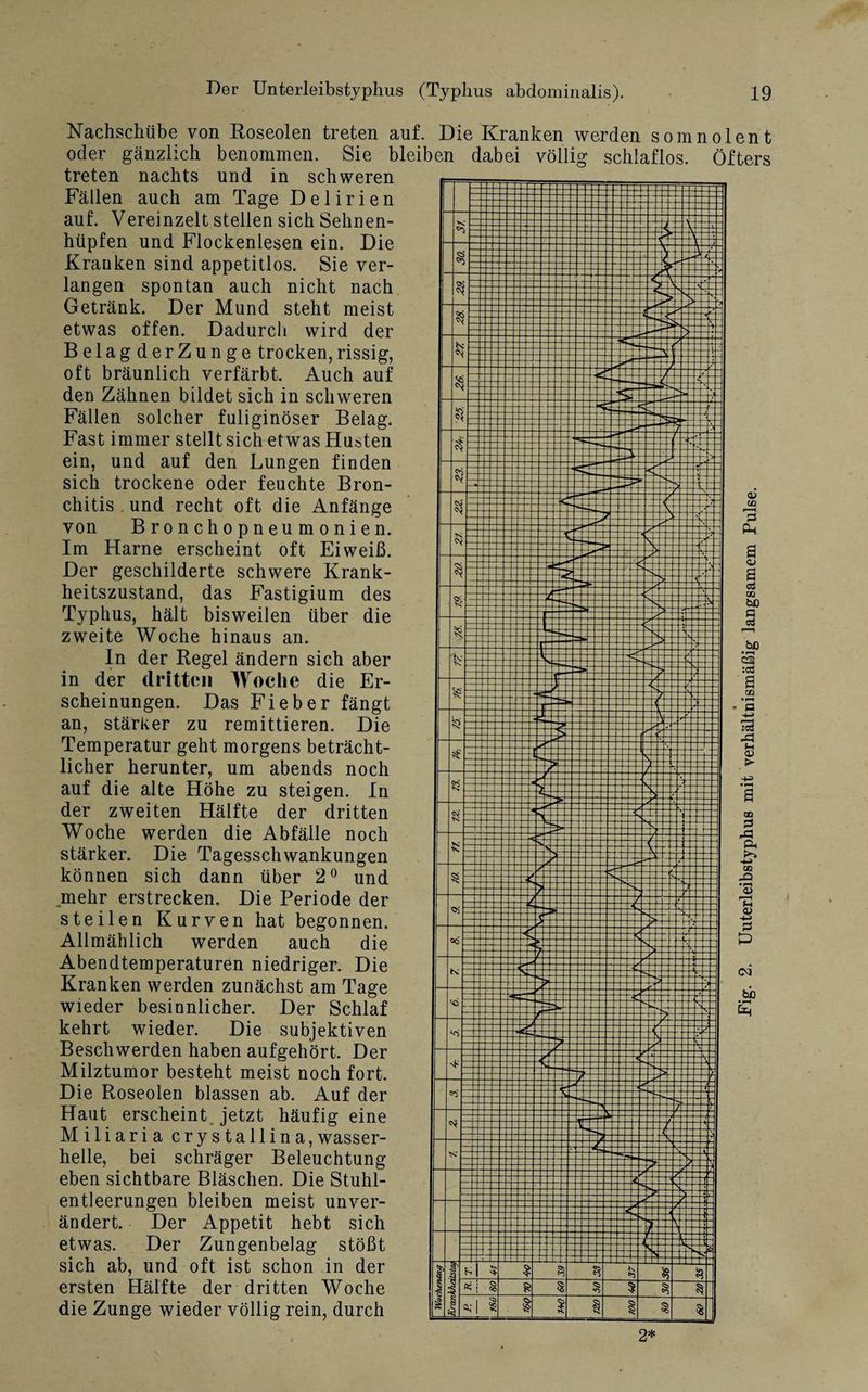 Nachschübe von Roseolen treten auf. Die Kranken werden som oder gänzlich benommen. Sie bleiben dabei völlig schlaflos, treten nachts und in schweren Fällen auch am Tage Delirien auf. Vereinzelt stellen sich Sehnen¬ hüpfen und Flockenlesen ein. Die Krauken sind appetitlos. Sie ver¬ langen spontan auch nicht nach Getränk. Der Mund steht meist etwas offen. Dadurch wird der BelagderZunge trocken,rissig, oft bräunlich verfärbt. Auch auf den Zähnen bildet sich in schweren Fällen solcher fuliginöser Belag. Fast immer stellt sich etwas Husten ein, und auf den Lungen finden sich trockene oder feuchte Bron¬ chitis , und recht oft die Anfänge von Bronchopneumonien. Im Harne erscheint oft Eiweiß. Der geschilderte schwere Krank¬ heitszustand, das Fastigium des Typhus, hält bisweilen über die zweite Woche hinaus an. In der Regel ändern sich aber in der dritten Woche die Er¬ scheinungen. Das Fieber fängt an, stärker zu remittieren. Die Temperatur geht morgens beträcht¬ licher herunter, um abends noch auf die alte Höhe zu steigen. In der zweiten Hälfte der dritten Woche werden die Abfälle noch stärker. Die Tagesschwankungen können sich dann über 2° und mehr erstrecken. Die Periode der steilen Kurven hat begonnen. Allmählich werden auch die Abendtemperaturen niedriger. Die Kranken werden zunächst am Tage wieder besinnlicher. Der Schlaf kehrt wieder. Die subjektiven Beschwerden haben aufgehört. Der Milztumor besteht meist noch fort. Die Roseolen blassen ab. Auf der Haut erscheint jetzt häufig eine Miliaria crystallina, wasser¬ helle, bei schräger Beleuchtung eben sichtbare Bläschen. Die Stuhl¬ entleerungen bleiben meist unver¬ ändert. Der Appetit hebt sich etwas. Der Zungenbelag stößt sich ab, und oft ist schon in der ersten Hälfte der dritten Woche die Zunge wieder völlig rein, durch n ölen t Öfters bfl • i—t 2* Unterleibstyphus mit verhältnismäßig langsamem Pulse.