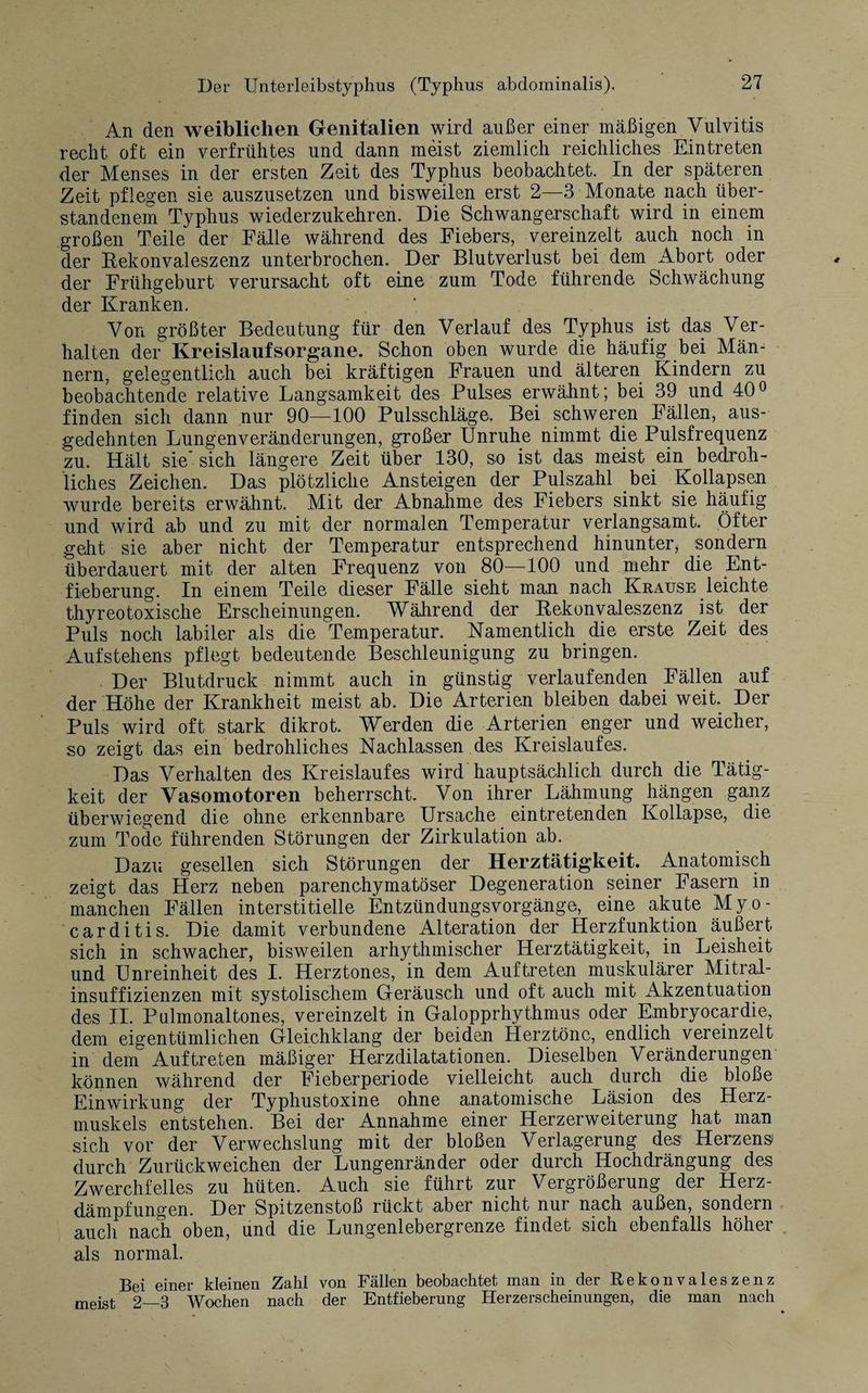An den weiblichen Genitalien wird außer einer mäßigen Vulvitis recht oft ein verfrühtes und dann meist ziemlich reichliches Eintreten der Menses in der ersten Zeit des Typhus beobachtet. In der späteren Zeit pflegen sie auszusetzen und bisweilen erst 2—3 Monate nach über¬ standenem Typhus wiederzukehren. Die Schwangerschaft wird in einem großen Teile der Fälle während des Fiebers, vereinzelt auch noch in der Rekonvaleszenz unterbrochen. Der Blutverlust bei dem Abort oder der Frühgeburt verursacht oft eine zum Tode führende Schwächung der Kranken. Von größter Bedeutung für den Verlauf des Typhus ist das Ver¬ halten der Kreislaufsorgane. Schon oben wurde die häufig bei Män¬ nern, gelegentlich auch bei kräftigen Frauen und älteren Kindern zu beobachtende relative Langsamkeit des Pulses erwähnt; bei 39 und 40° finden sich dann nur 90—100 Pulsschläge. Bei schweren Fällen, aus¬ gedehnten Lungenveränderungen, großer Unruhe nimmt die Pulsfrequenz zu. Hält sie' sich längere Zeit über 130, so ist das meist ein bedroh¬ liches Zeichen. Das plötzliche Ansteigen der Pulszahl bei Kollapsen wurde bereits erwähnt. Mit der Abnahme des Fiebers sinkt sie häufig und wird ab und zu mit der normalen Temperatur verlangsamt. Öfter geht sie aber nicht der Temperatur entsprechend hinunter, sondern überdauert mit der alten Frequenz von 80—100 und mehr die Ent¬ fieberung. In einem Teile dieser Fälle sieht man nach Krause leichte thyreotoxische Erscheinungen. Während der Rekonvaleszenz ist der Puls noch labiler als die Temperatur. Namentlich die erste Zeit des Aufstehens pflegt bedeutende Beschleunigung zu bringen. Der Blutdruck nimmt auch in günstig verlaufenden Fällen auf der Höhe der Krankheit meist ab. Die Arterien bleiben dabei weit. Der Puls wird oft stark dikrot. Werden die Arterien enger und weicher, so zeigt das ein bedrohliches Nachlassen des Kreislaufes. Das Verhalten des Kreislaufes wird hauptsächlich durch die Tätig¬ keit der Vasomotoren beherrscht. Von ihrer Lähmung hängen ganz überwiegend die ohne erkennbare Ursache eintretenden Kollapse, die zum Tode führenden Störungen der Zirkulation ab. Dazu gesellen sich Störungen der Herztätigkeit. Anatomisch zeigt das Herz neben parenchymatöser Degeneration seiner Fasern in manchen Fällen interstitielle Entzündungsvorgänge, eine akute Myo- carditis. Die damit verbundene Alteration der Herzfunktion äußert sich in schwacher, bisweilen arhythmischer Herztätigkeit, in Leisheit und Unreinheit des I. Herztones, in dem Auftreten muskulärer Mitral¬ insuffizienzen mit systolischem Geräusch und oft auch mit Akzentuation des II. Pulmonaltones, vereinzelt in Galopprhythmus oder Embryocardie, dem eigentümlichen Gleichklang der beiden Herztöne, endlich vereinzelt in dem Auftreten mäßiger Herzdilatationen. Dieselben Veränderungen können während der Fieberperiode vielleicht auch durch die bloße Einwirkung der Typhustoxine ohne anatomische Läsion des Herz¬ muskels entstehen. Bei der Annahme einer Herzerweiterung hat man sich vor der Verwechslung mit der bloßen Verlagerung des Herzens durch Zurückweichen der Lungenränder oder durch Hochdrängung des Zwerchfelles zu hüten. Auch sie führt zur Vergrößerung der Herz¬ dämpfungen. Der Spitzenstoß rückt aber nicht nur nach außen, sondern auch nach oben, und die Lungenlebergrenze findet sich ebenfalls höher als normal. Bei einer kleinen Zahl von Fällen beobachtet man in der Rekonvaleszenz meist 2—3 Wochen nach der Entfieberung Herzerscheinungen, die man nach