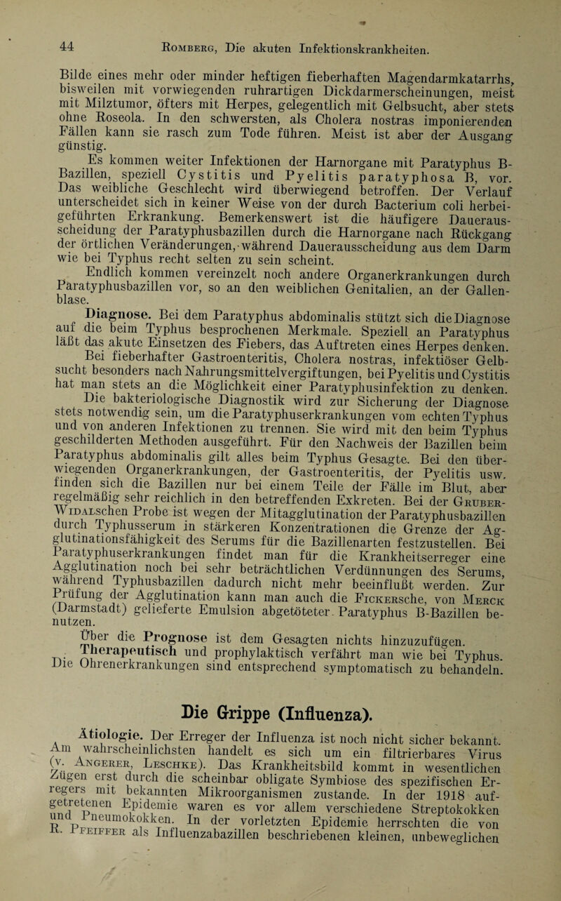 Bilde eines mehr oder minder heftigen fieberhaften Magendarmkatarrhs, bisweilen mit vorwiegenden ruhrartigen Dickdarmerscheinungen, meist mit Milztumor, öfters mit Herpes, gelegentlich mit Gelbsucht, aber stets ohne Roseola. In den schwersten, als Cholera nostras imponierenden Fällen kann sie rasch zum Tode führen. Meist ist aber der Ausgang günstig. Es kommen weiter Infektionen der Harnorgane mit Paratyphus B- Bazillen, speziell Cystitis und Pyelitis paratyphosa B, vor. Das weibliche Geschlecht wird überwiegend betroffen. Der Verlauf unterscheidet sich in keiner Weise von der durch Bacterium coli herbei¬ geführten Erkrankung. Bemerkenswert ist die häufigere Daueraus¬ scheidung der Paratyphusbazillen durch die Harnorgane nach Rückgang der örtlichen Veränderungen, während Dauerausscheidung aus dem Darm wie bei Typhus recht selten zu sein scheint. Endlich kommen vereinzelt noch andere Organerkrankungen durch Pai atyphusbazillen vor, so an den weiblichen Genitalien, an der Gallen¬ blase. Diagnose. Bei dem Paratyphus abdominalis stützt sich die Diagnose auf die beim Typhus besprochenen Merkmale. Speziell an Paratyphus läßt das akute Einsetzen des Fiebers, das Auftreten eines Herpes denken. Bei fieberhafter Gastroenteritis, Cholera nostras, infektiöser Gelb¬ sucht besonders nach Nahrungsmittelvergiftungen, bei Pyelitis und Cystitis hat man stets an die Möglichkeit einer Paratyphusinfektion zu denken. Die bakteriologische Diagnostik wird zur Sicherung der Diagnose stets notwendig sein, um die Paratyphuserkrankungen vom echten Typhus und von anderen Infektionen zu trennen. Sie wird mit den beim Typhus geschilderten Methoden ausgeführt. Für den Nachweis der Bazillen beim Paratyphus abdominalis gilt alles beim Typhus Gesagte. Bei den über¬ wiegenden Organerkrankungen, der Gastroenteritis, der Pyelitis usw, finden sich die Bazillen nur bei einem Teile der Fälle im Blut aber regelmäßig sehr reichlich in den betreffenden Exkreten. Bei der Gruber- WiDALschen Probe ist wegen der Mitagglutination der Paratyphusbazillen durch Typhusserum in stärkeren Konzentrationen die Grenze der Ag¬ glutinationsfähigkeit des Serums für die Bazillenarten festzustellen. Bei Pai atyphuserkrankungen findet man für die Krankheitserreger eine Agglutination noch bei sehr beträchtlichen Verdünnungen des Serums während Typhusbazillen dadurch nicht mehr beeinflußt werden. Zur Prüfung der Agglutination kann man auch die FicKERsche, von Merck (Darmstadt) gelieferte Emulsion abgetöteter. Paratyphus B-Bazillen be¬ nutzen. Über die Prognose ist dem Gesagten nichts hinzuzufügen. JLnerapeutisch und prophylaktisch verfährt man wie bei Typhus Die Ohrenerkrankungen sind entsprechend symptomatisch zu behandeln. Die Grippe (Influenza). Ätiologie. Der Erreger der Influenza ist noch nicht sicher bekannt. Am wahrscheinlichsten handelt es sich um ein filtrierbares Virus (v. Angerer, Leschke). Das Krankheitsbild kommt in wesentlichen Zmgen erst durch die scheinbar obligate Symbiose des spezifischen Er¬ regers mit bekannten Mikroorganismen zustande. In der 1918 auf- getretenen Epidemie waren es vor allem verschiedene Streptokokken unü Pneumokokken. In der vorletzten Epidemie herrschten die von FEirrER als Influenzabazillen beschriebenen kleinen, unbeweglichen