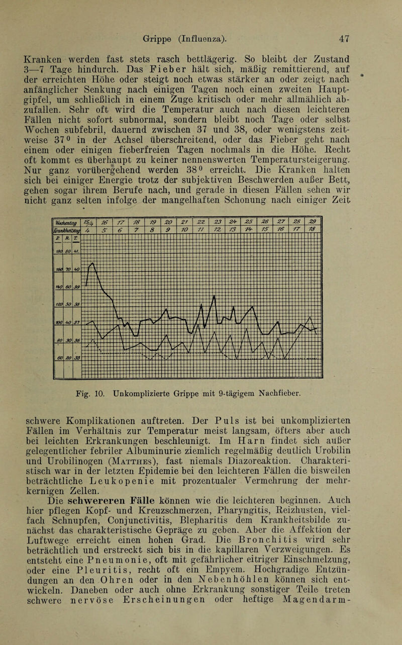 Kranken werden fast stets rasch bettlägerig. So bleibt der Zustand 3—7 Tage hindurch. Das Fieber hält sich, mäßig remittierend, auf der erreichten Höhe oder steigt noch etwas stärker an oder zeigt nach anfänglicher Senkung nach einigen Tagen noch einen zweiten Haupt¬ gipfel, um schließlich in einem Zuge kritisch oder mehr allmählich ab¬ zufallen. Sehr oft wird die Temperatur auch nach diesen leichteren Fällen nicht sofort subnormal, sondern bleibt noch Tage oder selbst Wochen subfebril, dauernd zwischen 37 und 38, oder wenigstens zeit¬ weise 37 0 in der Achsel überschreitend, oder das Fieber geht nach einem oder einigen fieberfreien Tagen nochmals in die Höhe. Hecht oft kommt es überhaupt zu keiner nennenswerten Temperatursteigerung. Nur ganz vorübergehend werden 38° erreicht. Die Kranken halten sich bei einiger Energie trotz der subjektiven Beschwerden außer Bett, gehen sogar ihrem Berufe nach, und gerade in diesen Fällen sehen wir nicht ganz selten infolge der mangelhaften Schonung nach einiger Zeit Fig. 10. Unkomplizierte Grippe mit 9-tägigem Nachfieber. schwere Komplikationen auftreten. Der Puls ist bei unkomplizierten Fällen im Verhältnis zur Temperatur meist langsam, öfters aber auch bei leichten Erkrankungen beschleunigt. Im Harn findet sich außer gelegentlicher febriler Albuminurie ziemlich regelmäßig deutlich Urobilin und Urobilinogen (Matthes), fast niemals Diazoreaktion. Charakteri¬ stisch war in der letzten Epidemie bei den leichteren Fällen die bisweilen beträchtliche Leukopenie mit prozentualer Vermehrung der mehr¬ kernigen Zellen. Die schwereren Fälle können wie die leichteren beginnen. Auch hier pflegen Kopf- und Kreuzschmerzen, Pharyngitis, Beizhusten, viel¬ fach Schnupfen, Conjunctivitis, Blepharitis dem Krankheitsbilde zu¬ nächst das charakteristische Gepräge zu geben. Aber die Affektion der Luftwege erreicht einen hohen Grad. Die Bronchitis wird sehr beträchtlich und erstreckt sich bis in die kapillaren Verzweigungen. Es entsteht eine Pneumonie, oft mit gefährlicher eitriger Einschmelzung, oder eine Pleuritis, recht oft ein Empyem. Hochgradige Entzün¬ dungen an den Ohren oder in den Nebenhöhlen können sich ent¬ wickeln. Daneben oder auch ohne Erkrankung sonstiger Teile treten schwere nervöse Erscheinungen oder heftige Magendarm-