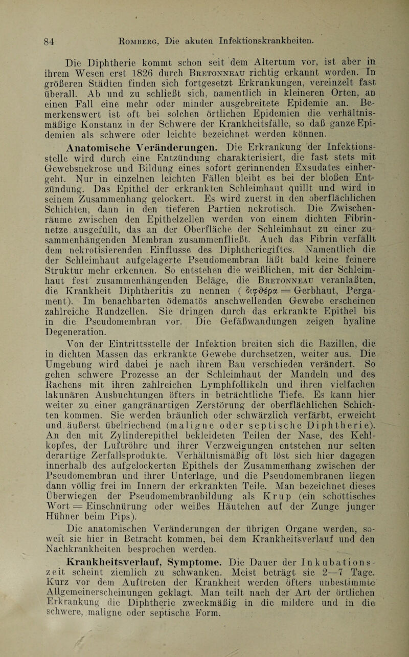 Die Diphtherie kommt schon seit dem Altertum vor, ist aber in ihrem Wesen erst 1826 durch Bretonneau richtig erkannt worden. In größeren Städten finden sich fortgesetzt Erkrankungen, vereinzelt fast überall. Ab und zu schließt sich, namentlich in kleineren Orten, an einen Fall eine mehr oder minder ausgebreitete Epidemie an. Be¬ merkenswert ist oft bei solchen örtlichen Epidemien die verhältnis¬ mäßige Konstanz in der Schwere der Krankheitsfälle, so daß ganze Epi¬ demien als schwere oder leichte bezeichnet werden können. Anatomische Veränderungen. Die Erkrankung der Infektions¬ stelle wird durch eine Entzündung charakterisiert, die fast stets mit Gewebsnekrose und Bildung eines sofort gerinnenden Exsudates einher¬ geht. Kur in einzelnen leichten Fällen bleibt es bei der bloßen Ent¬ zündung. Das Epithel der erkrankten Schleimhaut quillt und wird in seinem Zusammenhang gelockert. Es wird zuerst in den oberflächlichen Schichten, dann in den tieferen Partien nekrotisch. Die Zwischen¬ räume zwischen den Epithelzellen werden von einem dichten Fibrin¬ netze ausgefüllt, das an der Oberfläche der Schleimhaut zu einer zu¬ sammenhängenden Membran zusammenfließt. Auch das Fibrin verfällt dem nekrotisierenden Einflüsse des Diphtheriegiftes. Namentlich die der Schleimhaut aufgelagerte Pseudomembran läßt bald keine feinere Struktur mehr erkennen. So entstehen die weißlichen, mit der Schleim¬ haut fest zusammenhängenden Beläge, die Bretonneau veranlagten, die Krankheit Diphtheritis zu nennen ( Sufftepa = Gerbhaut, Perga¬ ment). Im benachbarten ödematös anschwellenden Gewebe erscheinen zahlreiche Rundzellen. Sie dringen durch das erkrankte Epithel bis in die Pseudomembran vor. Die Gefäßwandungen zeigen hyaline Degeneration. Von der Eintrittsstelle der Infektion breiten sich die Bazillen, die in dichten Massen das erkrankte Gewebe durchsetzen, weiter aus. Die Umgebung wird dabei je nach ihrem Bau verschieden verändert. So gehen schwere Prozesse an der Schleimhaut der Mandeln und des Rachens mit ihren zahlreichen Lymphfollikeln und ihren vielfachen lakunären Ausbuchtungen öfters in beträchtliche Tiefe. Es kann hier weiter zu einer gangränartigen Zerstörung der oberflächlichen Schich¬ ten kommen. Sie werden bräunlich oder schwärzlich verfärbt, erweicht und äußerst übelriechend (maligne oder septische Diphtherie). An den mit Zylinderepithel bekleideten Teilen der Nase, des Kehl¬ kopfes, der Luftröhre und ihrer Verzweigungen entstehen nur selten derartige Zerfallsprodukte. Verhältnismäßig oft löst sich hier dagegen innerhalb des aufgelockerten Epithels der Zusammenhang zwischen der Pseudomembran und ihrer Unterlage, und die Pseudomembranen liegen dann völlig frei im Innern der erkrankten Teile. Man bezeichnet dieses Überwiegen der Pseudomembranbildung als Krup (ein schottisches Wort = Einschnürung oder weißes Häutchen auf der Zunge junger Hühner beim Pips). Die anatomischen Veränderungen der übrigen Organe werden, so¬ weit sie hier in Betracht kommen, bei dem Krankheitsverlauf und den Nachkrankheiten besprochen werden. Krankheitsverlauf, Symptome. Die Dauer der Inkubations¬ zeit scheint ziemlich zu schwanken. Meist beträgt sie 2—7 Tage. Kurz vor dem Auftreten der Krankheit werden öfters unbestimmte Allgemeinerscheinungen geklagt. Man teilt nach der Art der örtlichen Erkrankung die Diphtherie zweckmäßig in die mildere und in die schwere, maligne oder septische Form.
