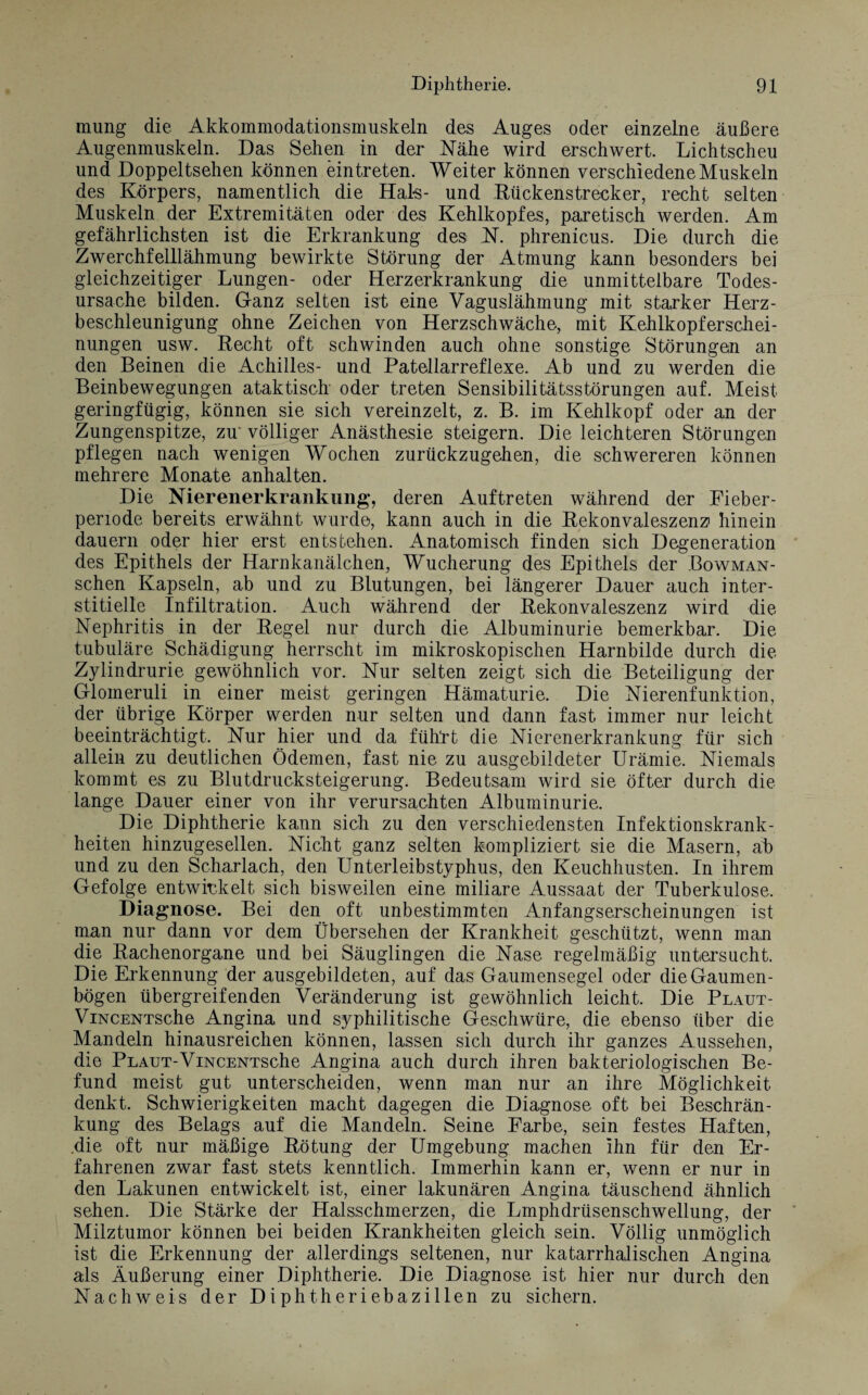mung die Akkommodationsmuskeln des Auges oder einzelne äußere Augenmuskeln. Das Sehen in der Nähe wird erschwert. Lichtscheu und Doppeltsehen können ein treten. Weiter können verschiedene Muskeln des Körpers, namentlich die Hals- und Kückenstrecker, recht selten Muskeln der Extremitäten oder des Kehlkopfes, paretisch werden. Am gefährlichsten ist die Erkrankung des N. phrenicus. Die durch die Zwerchfelllähmung bewirkte Störung der Atmung kann besonders bei gleichzeitiger Lungen- oder Herzerkrankung die unmittelbare Todes¬ ursache bilden. Ganz selten ist eine Vaguslähmung mit starker Herz¬ beschleunigung ohne Zeichen von Herzschwäche, mit Kehlkopferschei¬ nungen usw. Recht oft schwinden auch ohne sonstige Störungen an den Beinen die Achilles- und Patellarreflexe. Ab und zu werden die Beinbewegungen ataktisch oder treten Sensibilitätsstörungen auf. Meist geringfügig, können sie sich vereinzelt, z. B. im Kehlkopf oder an der Zungenspitze, zu' völliger Anästhesie steigern. Die leichteren Störungen pflegen nach wenigen Wochen zurückzugehen, die schwereren können mehrere Monate anhalten. Die Nierenerkrankung, deren Auftreten während der Fieber¬ periode bereits erwähnt wurde, kann auch in die Rekonvaleszenz hinein dauern oder hier erst entstehen. Anatomisch finden sich Degeneration des Epithels der Harnkanälchen, Wucherung des Epithels der Bowman- schen Kapseln, ab und zu Blutungen, bei längerer Dauer auch inter¬ stitielle Infiltration. Auch während der Rekonvaleszenz wird die Nephritis in der Regel nur durch die Albuminurie bemerkbar. Die tubuläre Schädigung herrscht im mikroskopischen Harnbilde durch die Zylindrurie gewöhnlich vor. Nur selten zeigt sich die Beteiligung der Glomeruli in einer meist geringen Hämaturie. Die Nierenfunktion, der übrige Körper werden nur selten und dann fast immer nur leicht beeinträchtigt. Nur hier und da führt die Nierenerkrankung für sich allein zu deutlichen Ödemen, fast nie zu ausgebildeter Urämie. Niemals kommt es zu Blutdrucksteigerung. Bedeutsam wird sie öfter durch die lange Dauer einer von ihr verursachten Albuminurie. Die Diphtherie kann sich zu den verschiedensten Infektionskrank¬ heiten hinzugesellen. Nicht ganz selten kompliziert sie die Masern, ab und zu den Scharlach, den Unterleibstyphus, den Keuchhusten. In ihrem Gefolge entwickelt sich bisweilen eine miliare Aussaat der Tuberkulose. Diagnose. Bei den oft unbestimmten Anfangserscheinungen ist man nur dann vor dem Übersehen der Krankheit geschützt, wenn man die Rachenorgane und bei Säuglingen die Nase regelmäßig untersucht. Die Erkennung der ausgebildeten, auf das Gaumensegel oder die Gaumen¬ bögen übergreifenden Veränderung ist gewöhnlich leicht. Die Plaut- ViNCENTSche Angina und syphilitische Geschwüre, die ebenso über die Mandeln hinausreichen können, lassen sich durch ihr ganzes Aussehen, die Plaut-ViNCENTSche Angina auch durch ihren bakteriologischen Be¬ fund meist gut unterscheiden, wenn man nur an ihre Möglichkeit denkt. Schwierigkeiten macht dagegen die Diagnose oft bei Beschrän¬ kung des Belags auf die Mandeln. Seine Farbe, sein festes Haften, .die oft nur mäßige Rötung der Umgebung machen ihn für den Er¬ fahrenen zwar fast stets kenntlich. Immerhin kann er, wenn er nur in den Lakunen entwickelt ist, einer lakunären Angina täuschend ähnlich sehen. Die Stärke der Halsschmerzen, die Lmphdrüsenschwellung, der Milztumor können bei beiden Krankheiten gleich sein. Völlig unmöglich ist die Erkennung der allerdings seltenen, nur katarrhalischen Angina als Äußerung einer Diphtherie. Die Diagnose ist hier nur durch den Nachweis der Diphtheriebazillen zu sichern.