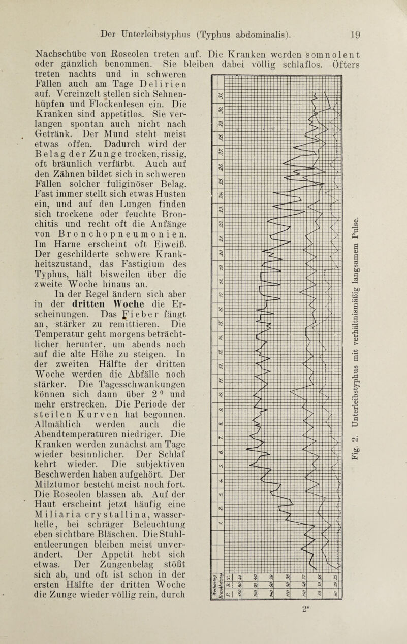 Nachschübe von Roseolen treten auf. Die Kranken werden somnolent oder gänzlich benommen. Sie bleiben dabei völlig schlaflos. Öfters treten nachts und in schweren ... Fällen auch am Tage Delirien auf. Vereinzelt stellen sich Sehnen¬ hüpfen und Flockenlesen ein. Die Kranken sind appetitlos. Sie ver¬ langen spontan auch nicht nach Getränk. Der Mund steht meist etwas offen. Dadurch wird der Belag der Zunge trocken,rissig, oft bräunlich verfärbt. Auch auf den Zähnen bildet sich in schweren Fällen solcher fuliginöser Belag. Fast immer stellt sich etwas Husten ein, und auf den Lungen finden sich trockene oder feuchte Bron¬ chitis und recht oft die Anfänge von Bronchopneumonien. Im Harne erscheint oft Eiweiß. Der geschilderte schwere Krank¬ heitszustand, das Fastigium des Typhus, hält bisweilen über die zweite Woche hinaus an. In der Regel ändern sich aber in der dritten Woche die Er¬ scheinungen. Das lieber fängt an, stärker zu remittieren. Die Temperatur geht morgens beträcht¬ licher herunter, um abends noch auf die alte Höhe zu steigen. In der zweiten Hälfte der dritten Woche werden die Abfälle noch stärker. Die Tagesschwankungen können sich dann über 20 und mehr erstrecken. Die Periode der steilen Kurven hat begonnen. Allmählich werden auch die Abendtemperaturen niedriger. Die Kranken werden zunächst am Tage wieder besinnlicher. Der Schlaf kehrt wieder. Die subjektiven Beschwerden haben aufgehört. Der Milztumor besteht meist noch fort. Die Roseolen blassen ab. Auf der Haut erscheint jetzt häufig eine Miliaria crystallina, wasser¬ helle, bei schräger Beleuchtung eben sichtbare Bläschen. Die Stuhl¬ entleerungen bleiben meist unver¬ ändert. Der Appetit hebt sich etwas. Der Zungenbelag stößt sich ab, und oft ist schon in der ersten Hälfte der dritten Woche die Zunge wieder völlig rein, durch 2* Unterleibstyphus mit verhältnismäßig langsamem Pulse.
