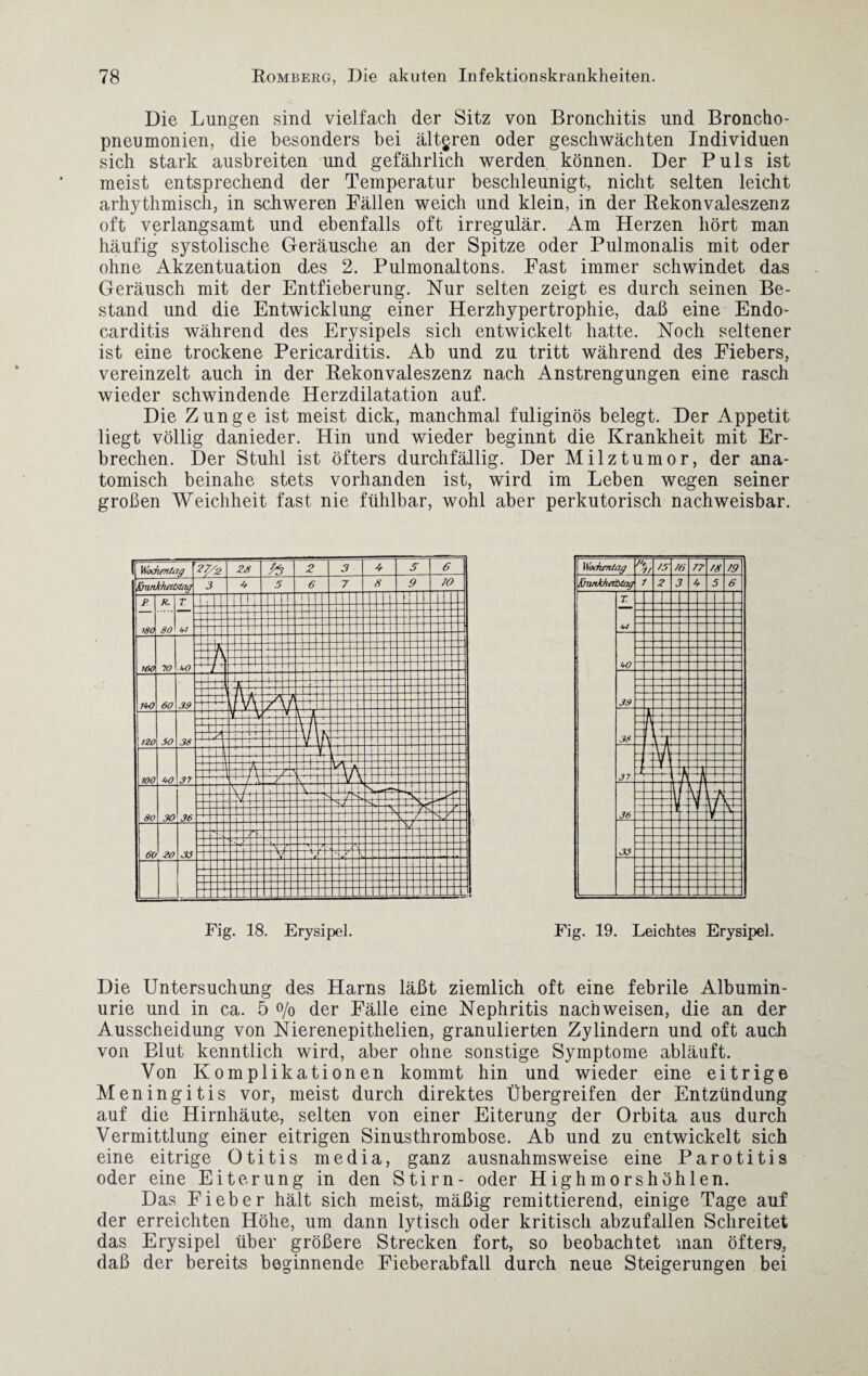 Die Lungen sind vielfach der Sitz von Bronchitis und Broncho¬ pneumonien, die besonders bei älteren oder geschwächten Individuen sich stark ausbreiten und gefährlich werden können. Der Puls ist meist entsprechend der Temperatur beschleunigt, nicht selten leicht arhythmisch, in schweren Fällen weich und klein, in der Rekonvaleszenz oft verlangsamt und ebenfalls oft irregulär. Am Herzen hört man häufig systolische Geräusche an der Spitze oder Pulmonalis mit oder ohne Akzentuation des 2. Pulmonaltons. Fast immer schwindet das Geräusch mit der Entfieberung. Nur selten zeigt es durch seinen Be¬ stand und die Entwicklung einer Herzhypertrophie, daß eine Endo- carditis während des Erysipels sich entwickelt hatte. Noch seltener ist eine trockene Pericarditis. Ab und zu tritt während des Fiebers, vereinzelt auch in der Rekonvaleszenz nach Anstrengungen eine rasch wieder schwindende Herzdilatation auf. Die Zunge ist meist dick, manchmal fuliginös belegt. Der Appetit liegt völlig danieder. Hin und wieder beginnt die Krankheit mit Er¬ brechen. Der Stuhl ist öfters durchfällig. Der Milztumor, der ana¬ tomisch beinahe stets vorhanden ist, wird im Leben wegen seiner großen Weichheit fast nie fühlbar, wohl aber perkutorisch nachweisbar. Fig. 18. Erysipel. Fig. 19. Leichtes Erysipel. Die Untersuchung des Harns läßt ziemlich oft eine febrile Albumin¬ urie und in ca. 5 o/o der Fälle eine Nephritis nach weisen, die an der Ausscheidung von Nierenepithelien, granulierten Zylindern und oft auch von Blut kenntlich wird, aber ohne sonstige Symptome abläuft. Von Komplikationen kommt hin und wieder eine eitrige Meningitis vor, meist durch direktes Übergreifen der Entzündung auf die Hirnhäute, selten von einer Eiterung der Orbita aus durch Vermittlung einer eitrigen Sinusthrombose. Ab und zu entwickelt sich eine eitrige Otitis media, ganz ausnahmsweise eine Parotitis oder eine Eiterung in den Stirn- oder Highmorshöhlen. Das Fieber hält sich meist, mäßig remittierend, einige Tage auf der erreichten Höhe, um dann lytisch oder kritisch abzufallen Schreitet das Erysipel über größere Strecken fort, so beobachtet man öfters, daß der bereits beginnende Fieberabfall durch neue Steigerungen bei