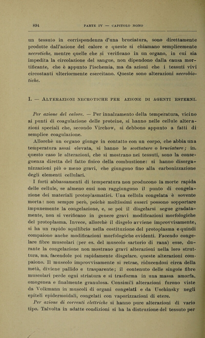 un tessuto in corrispondenza d’una bruciatura, sono direttamente prodotte dall’azione del calore e queste si chiamano semplicemente necrotiche, mentre quelle che si verificano in un organo, in cui sia impedita la circolazione del sangue, non dipendono dalla causa mor¬ tificante, che è appunto l’ischemia, ma da azioni che i tessuti vivi circostanti ulteriormente esercitano. Queste sono alterazioni necrobio¬ tiche. I. — Alterazioni necrotiche per azione di agenti esterni. Per azione del calore. — Per innalzamento della temperatura, vicino ai punti di coagulazione delle proteine, si hanno nelle cellule altera¬ zioni speciali che, secondo Yirchow, si debbono appunto a fatti di semplice coagulazione. Allorché un organo giunge in contatto con un corpo, che abbia una temperatura assai elevata, si hanno le scottature o bruciature ; in. questo caso le alterazioni, che si mostrano nei tessuti, sono la conse¬ guenza diretta del fatto fisico della combustione: si hanno disorga¬ nizzazioni più o meno gravi, che giungono fino alla carbonizzazione degli elementi cellulari. I forti abbassamenti di temperatura non producono la morte rapida delle cellule, se almeno essi non raggiungono il punto di congela¬ zione dei materiali protoplasmatici. Una cellula congelata è sovente morta : non sempre però, poiché moltissimi esseri possono sopportare impunemente la congelazione, e, se poi il disgelarsi segue gradata- mente, non si verificano in genere gravi modificazioni morfologiche del protoplasma. Invece, allorché il disgelo avviene improvvisamente, si ha un rapido squilibrio nella costituzione del protoplasma e quindi compaiono anche modificazioni morfologiche evidenti. Facendo conge¬ lare fibre muscolari (per es. del muscolo sartorio di rana) esse, du¬ rante la congelazione non mostrano gravi alterazioni nella loro strut¬ tura, ma, facendole poi rapidamente disgelare, queste alterazioni com¬ paiono. Il muscolo improvvisamente si retrae, riducendosi circa della metà, diviene pallido e trasparente; il contenuto delle singole fibre muscolari perde ogni striatura e si trasforma in una massa amorfa, omogenea e finalmente granulosa. Consimili alterazioni furono viste da Volkmann in muscoli di organi congelati e da Uschinsky negli epiteli epidermoidali, congelati con vaporizzazioni di etere. Per azione di correnti elettriche si hanno pure alterazioni di vario tipo. Talvolta in adatte condizioni si ha la distruzione del tessuto per