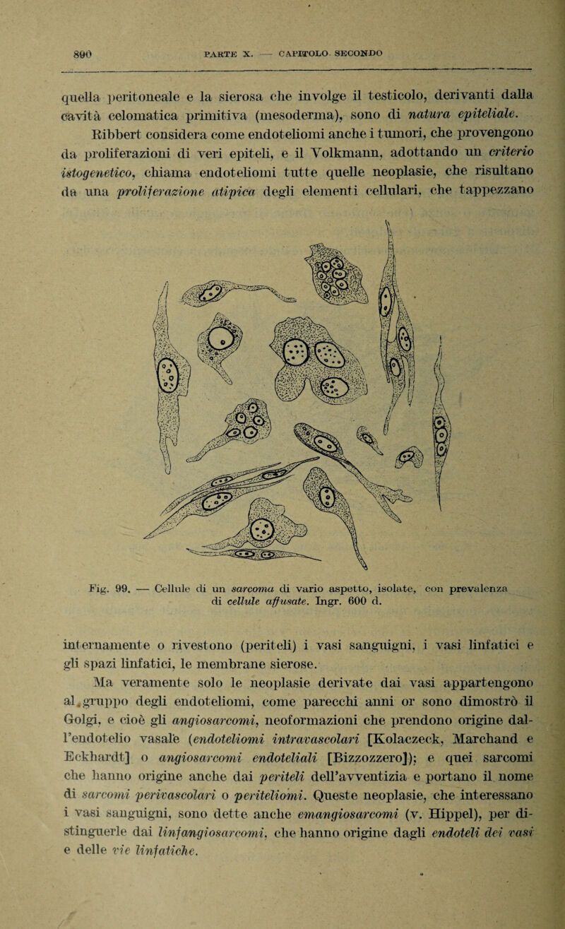 quella peritoneale e la sierosa che involge il testicolo, derivanti dalla cavità celomatica primitiva (mesoderma), sono di natura epiteliale. Kibbert considera come endoteliomi anche i tumori, che provengono da proliferazioni di veri epiteli, e il Yolkmann, adottando un criterio istogenetico, chiama endoteliomi tutte quelle neoplasie, che risultano da una proliferazione atipica degli elementi cellulari, che tappezzano Fig. 99. — Cellule di un sarcoma di vario aspetto, isolate, con prevalenza di cellule aff usate. Ingr. 600 d. internamente o rivestono (periteli) i vasi sanguigni, i vasi linfatici e gli spazi linfatici, le membrane sierose. Ma veramente solo le neoplasie derivate dai vasi appartengono aggruppo degli endoteliomi, come parecchi anni or sono dimostrò il Golgi, e cioè gli angiosarcomi, neoformazioni che prendono origine dal¬ l’endotelio vasale (endoteliomi intravascolari [Kolaczeck, Marchand e Eckhardt] o angiosarcomi endoteliali [Bizzozzero]); e quei sarcomi che hanno origine anche dai periteli dell’avventizia e portano il nome di sarcomi perivascolari o periteliomi. Queste neoplasie, che interessano i vasi sanguigni, sono dette anche emangiosarcomi (v. Hippel), per di¬ stinguerle dai linfangiosarcomi, che hanno origine dagli endoteli dei vasi e delle vie linfatiche.