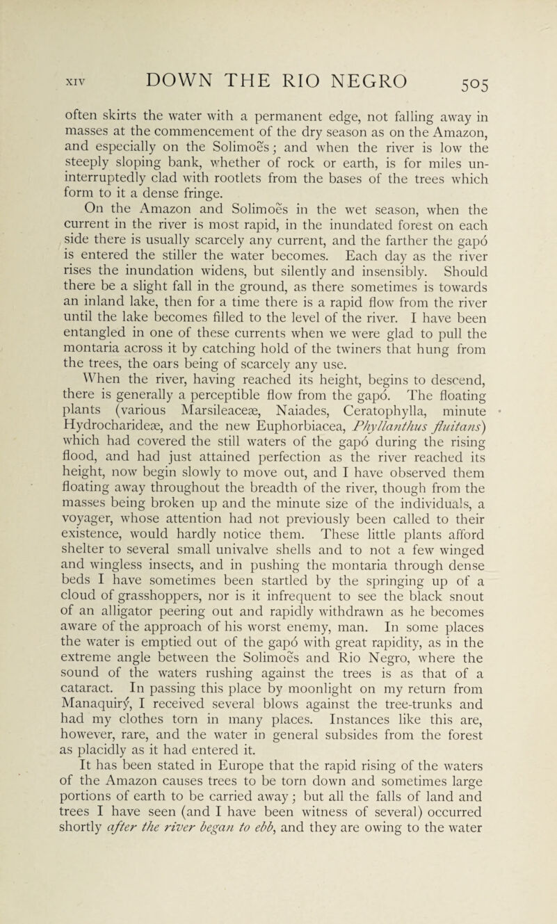 often skirts the water with a permanent edge, not falling away in masses at the commencement of the dry season as on the Amazon, and especially on the Solimoes; and when the river is low the steeply sloping bank, whether of rock or earth, is for miles un¬ interruptedly clad with rootlets from the bases of the trees which form to it a dense fringe. On the Amazon and Solimoes in the wet season, when the current in the river is most rapid, in the inundated forest on each side there is usually scarcely any current, and the farther the gapd is entered the stiller the water becomes. Each day as the river rises the inundation widens, but silently and insensibly. Should there be a slight fall in the ground, as there sometimes is towards an inland lake, then for a time there is a rapid flow from the river until the lake becomes filled to the level of the river. I have been entangled in one of these currents when we were glad to pull the montaria across it by catching hold of the twiners that hung from the trees, the oars being of scarcely any use. When the river, having reached its height, begins to descend, there is generally a perceptible flow from the gapd. The floating plants (various Marsileaceae, Naiades, Ceratophylla, minute • Hydrocharideae, and the new Euphorbiacea, Phyllanthus fluitans) which had covered the still waters of the gapd during the rising flood, and had just attained perfection as the river reached its height, now begin slowly to move out, and I have observed them floating away throughout the breadth of the river, though from the masses being broken up and the minute size of the individuals, a voyager, whose attention had not previously been called to their existence, would hardly notice them. These little plants afford shelter to several small univalve shells and to not a few winged and wingless insects, and in pushing the montaria through dense beds I have sometimes been startled by the springing up of a cloud of grasshoppers, nor is it infrequent to see the black snout of an alligator peering out and rapidly withdrawn as he becomes aware of the approach of his worst enemy, man. In some places the water is emptied out of the gapo with great rapidity, as in the extreme angle between the Solimoes and Rio Negro, where the sound of the waters rushing against the trees is as that of a cataract. In passing this place by moonlight on my return from Manaquiry, I received several blows against the tree-trunks and had my clothes torn in many places. Instances like this are, however, rare, and the water in general subsides from the forest as placidly as it had entered it. It has been stated in Europe that the rapid rising of the waters of the Amazon causes trees to be torn down and sometimes large portions of earth to be carried away; but all the falls of land and trees I have seen (and I have been witness of several) occurred shortly after the ?'iver began to ebb, and they are owing to the water