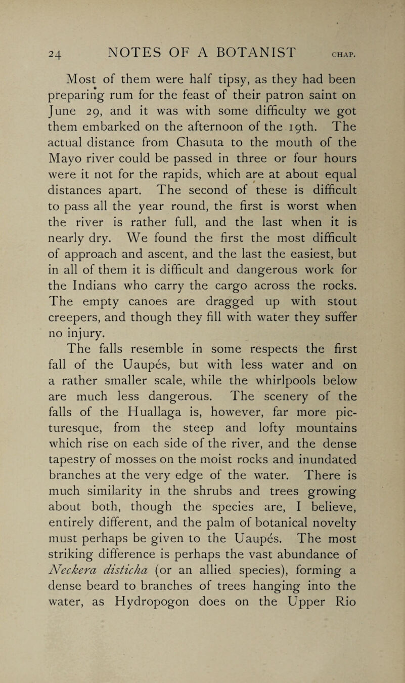 Most of them were half tipsy, as they had been preparing rum for the feast of their patron saint on June 29, and it was with some difficulty we got them embarked on the afternoon of the 19th. The actual distance from Chasuta to the mouth of the Mayo river could be passed in three or four hours were it not for the rapids, which are at about equal distances apart. The second of these is difficult to pass all the year round, the first is worst when the river is rather full, and the last when it is nearly dry. We found the first the most difficult of approach and ascent, and the last the easiest, but in all of them it is difficult and dangerous work for the Indians who carry the cargo across the rocks. The empty canoes are dragged up with stout creepers, and though they fill with water they suffer no injury. The falls resemble in some respects the first fall of the Uaupes, but with less water and on a rather smaller scale, while the whirlpools below are much less dangerous. The scenery of the falls of the Huallaga is, however, far more pic¬ turesque, from the steep and lofty mountains which rise on each side of the river, and the dense tapestry of mosses on the moist rocks and inundated branches at the very edge of the water. There is much similarity in the shrubs and trees growing about both, though the species are, I believe, entirely different, and the palm of botanical novelty must perhaps be given to the Uaupes. The most striking difference is perhaps the vast abundance of Neckera disticha (or an allied species), forming a dense beard to branches of trees hanging into the water, as Hydropogon does on the Upper Rio
