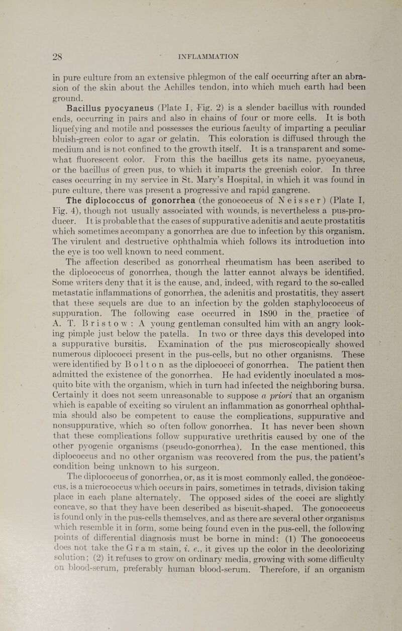in pure culture from an extensive phlegmon of the calf occurring after an abra¬ sion of the skin about the Achilles tendon, into which much earth had been ground. Bacillus pyocyaneus (Plate I, -Fig. 2) is a slender bacillus with rounded ends, occurring in pairs and also in chains of four or more cells. It is both liquefying and motile and possesses the curious faculty of imparting a peculiar bluish-green color to agar or gelatin. This coloration is diffused through the medium and is not confined to the growth itself. It is a transparent and some¬ what fluorescent color. From this the bacillus gets its name, pyocyaneus, or the bacillus of green pus, to which it imparts the greenish color. In three cases occurring in my service in St. Mary’s Hospital, in which it wras found in pure culture, there was present a progressive and rapid gangrene. The diplococcus of gonorrhea (the gonococcus of Neisser) (Plate I, Fig. 4), though not usually associated with wounds, is nevertheless a pus-pro¬ ducer. It is probable that the cases of suppurative adenitis and acute prostatitis which sometimes accompany a gonorrhea are due to infection by this organism. The virulent and destructive ophthalmia which follows its introduction into the eye is too wTell known to need comment. The affection described as gonorrheal rheumatism has been ascribed to the diplococcus of gonorrhea, though the latter cannot always be identified. Some writers deny that it is the cause, and, indeed, with regard to the so-called metastatic inflammations of gonorrhea, the adenitis and prostatitis, they assert that these sequels are due to an infection by the golden staphylococcus of suppuration. The following case occurred in 1890 in the practice of A. T. B r i s t o w : A young gentleman consulted him with an angry look¬ ing pimple just below the patella. In two or three days this developed into a suppurative bursitis. Examination of the pus microscopically showed numerous diplococci present in the pus-cells, but no other organisms. These wTere identified by B o 11 o n as the diplococci of gonorrhea. The patient then admitted the existence of the gonorrhea. He had evidently inoculated a mos¬ quito bite with the organism, which in turn had infected the neighboring bursa. Certainly it does not seem unreasonable to suppose a 'priori that an organism which is capable of exciting so virulent an inflammation as gonorrheal ophthal¬ mia should also be competent to cause the complications, suppurative and nonsuppurative, which so often follow gonorrhea. It has never been shown that these complications follow suppurative urethritis caused by one of the other pyogenic organisms (pseudo-gonorrhea). In the case mentioned, this diplococcus and no other organism was recovered from the pus, the patient’s condition being unknown to his surgeon. I he diplococcus of gonorrhea, or, as it is most commonly called, the gonococ¬ cus, is a micrococcus which occurs in pairs, sometimes in tetrads, division taking place in each plane alternately. The opposed sides of the cocci are slightly concave, so that they have been described as biscuit-shaped. The gonococcus is found only in the pus-cells themselves, and as there are several other organisms which resemble it in form, some being found even in the pus-cell, the following points of differential diagnosis must be borne in mind: (1) The gonococcus does not take the Gram stain, i. e., it gives up the color in the decolorizing solution; (2) it refuses to grow on ordinary media, growing with some difficulty on blood-serum, preferably human blood-serum. Therefore, if an organism