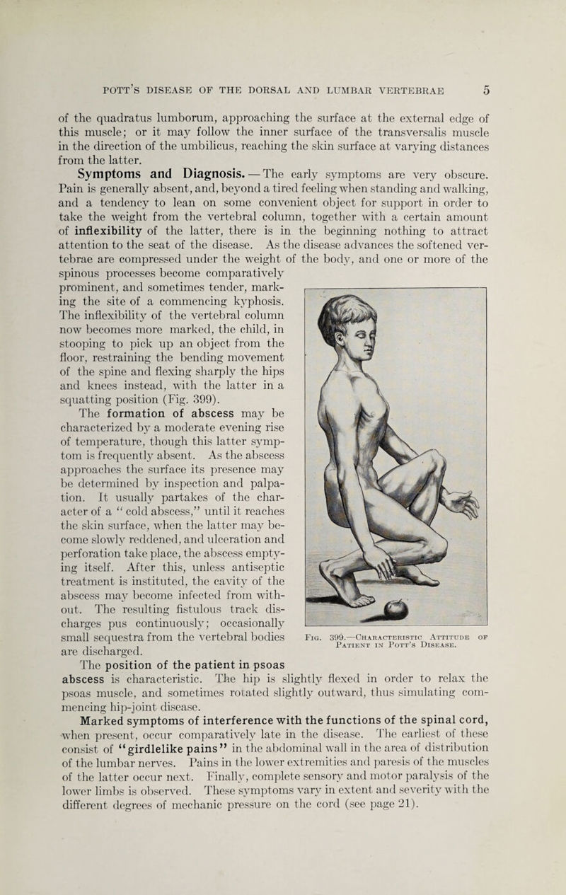 of the quadratus lumborum, approaching the surface at the external edge of this muscle; or it may follow the inner surface of the transversalis muscle in the direction of the umbilicus, reaching the skin surface at varying distances from the latter. Symptoms and Diagnosis.—The early symptoms are very obscure. Pain is generally absent, and, beyond a tired feeling when standing and walking, and a tendency to lean on some convenient object for support in order to take the weight from the vertebral column, together with a certain amount of inflexibility of the latter, there is in the beginning nothing to attract attention to the seat of the disease. As the disease advances the softened ver¬ tebrae are compressed under the weight of the body, and one or more of the spinous processes become comparatively prominent, and sometimes tender, mark¬ ing the site of a commencing kyphosis. The inflexibility of the vertebral column now becomes more marked, the child, in stooping to pick up an object from the floor, restraining the bending movement of the spine and flexing sharply the hips and knees instead, with the latter in a squatting position (Fig. 399). The formation of abscess may be characterized by a moderate evening rise of temperature, though this latter symp¬ tom is frequently absent. As the abscess approaches the surface its presence may be determined by inspection and palpa¬ tion. It usually partakes of the char¬ acter of a “ cold abscess,” until it reaches the skin surface, when the latter may be¬ come slowly reddened, and ulceration and perforation take place, the abscess empty¬ ing itself. After this, unless antiseptic treatment is instituted, the cavity of the abscess may become infected from with¬ out. The resulting fistulous track dis¬ charges pus continuously; occasionally small sequestra from the vertebral bodies are discharged. The position of the patient in psoas abscess is characteristic. The hip is slightly flexed in order to relax the psoas muscle, and sometimes rotated slightly outward, thus simulating com¬ mencing hip-joint disease. Marked symptoms of interference with the functions of the spinal cord, when present, occur comparatively late in the disease. The earliest of these consist of “girdlelike pains” in the abdominal wall in the area of distribution of the lumbar nerves. Pains in the lower extremities and paresis of the muscles of the latter occur next. Finally, complete sensory and motor paralysis of the lower limbs is observed. These symptoms vary in extent and severity with the different degrees of mechanic pressure on the cord (see page 21).