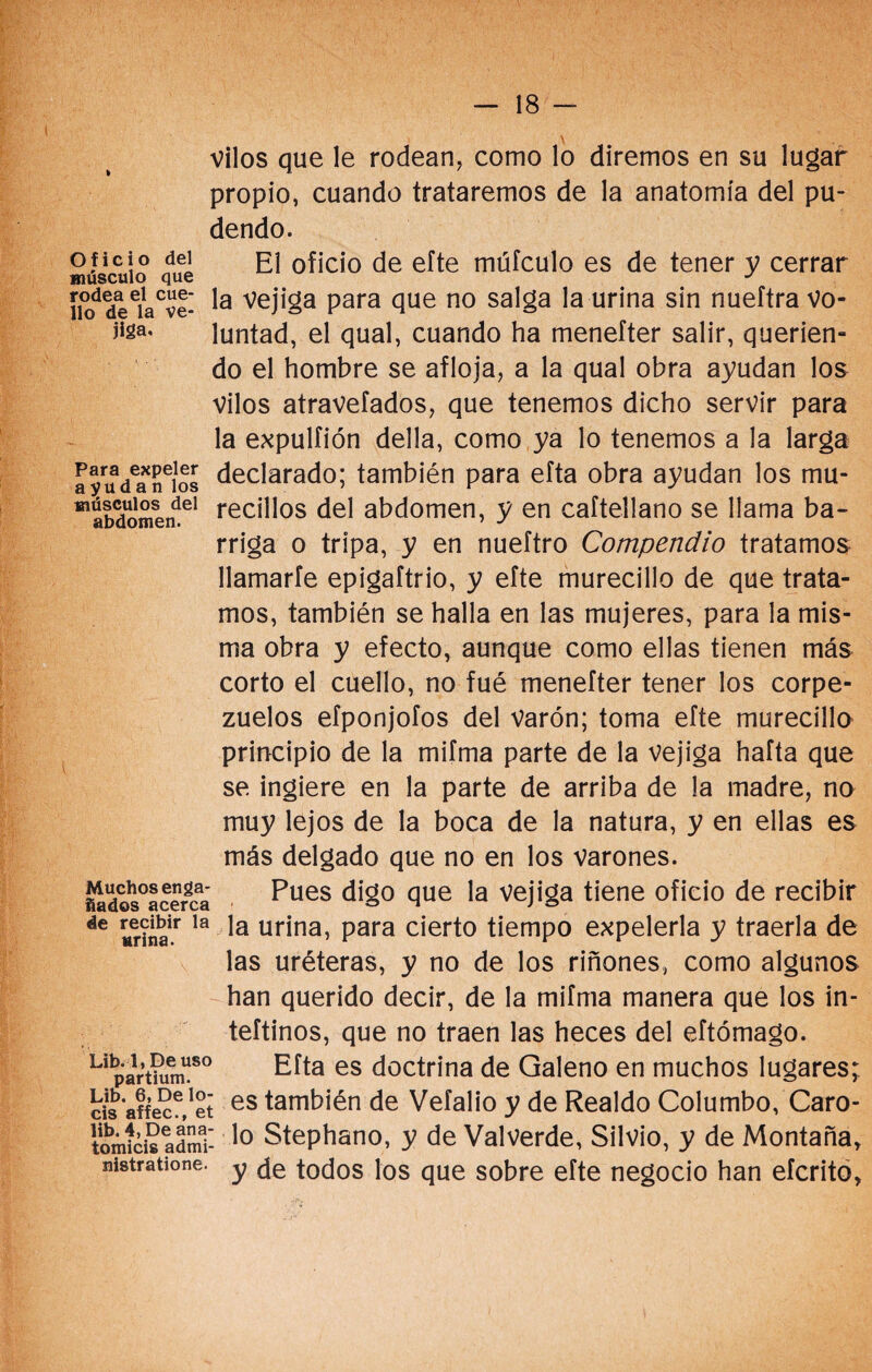 vilos que le rodean, como lo diremos en su lugar propio, cuando trataremos de la anatomía del pu¬ dendo. oficio dei 0fiCi0 de efte múfculo es de tener y cerrar músculo que J íioddeeiaCve- Ia vejiga para que no salga la urina sin nueftra Vo- jiga- luntad, el qual, cuando ha menefter salir, querien- do el hombre se afloja, a la qual obra ayudan los vilos atraveíados, que tenemos dicho servir para la expulíión della, como ya lo tenemos a la larga ayuVaTíos declarado; también para efta obra ayudan los mu- ”S»domendel reci^os del abdomen, y en caftellano se llama ba¬ rriga o tripa, y en nueftro Compendio tratamos llamarle epigaítrio, y efte murecillo de que trata¬ mos, también se halla en las mujeres, para la mis¬ ma obra y efecto, aunque como ellas tienen más corto el cuello, no fué menefter tener los corpe- zuelos efponjofos del Varón; toma efte murecillo principio de la mifma parte de la vejiga hafta que se ingiere en la parte de arriba de la madre, no muy lejos de la boca de la natura, y en ellas es más delgado que no en los varones. £©s°acergcaa Pues digo Que ^a Vejiga tiene oficio de recibir áe «r?nair la Ia ur*na’ Para cierto tiempo expelerla y traerla de las uréteras, y no de los riñones, como algunos han querido decir, de la mifma manera que los in- teítinos, que no traen las heces del eftómago. Lipa1rt?umU8° Efta es doctrina de Galeno en muchos lugares; cis affecf/et es también de Vefalio y de Realdo Columbo, Caro- tomícis admi- 1° Stephano, y de Valverde, Silvio, y de Montaña, mstratione. y todos los que sobre efte negocio han eferito.