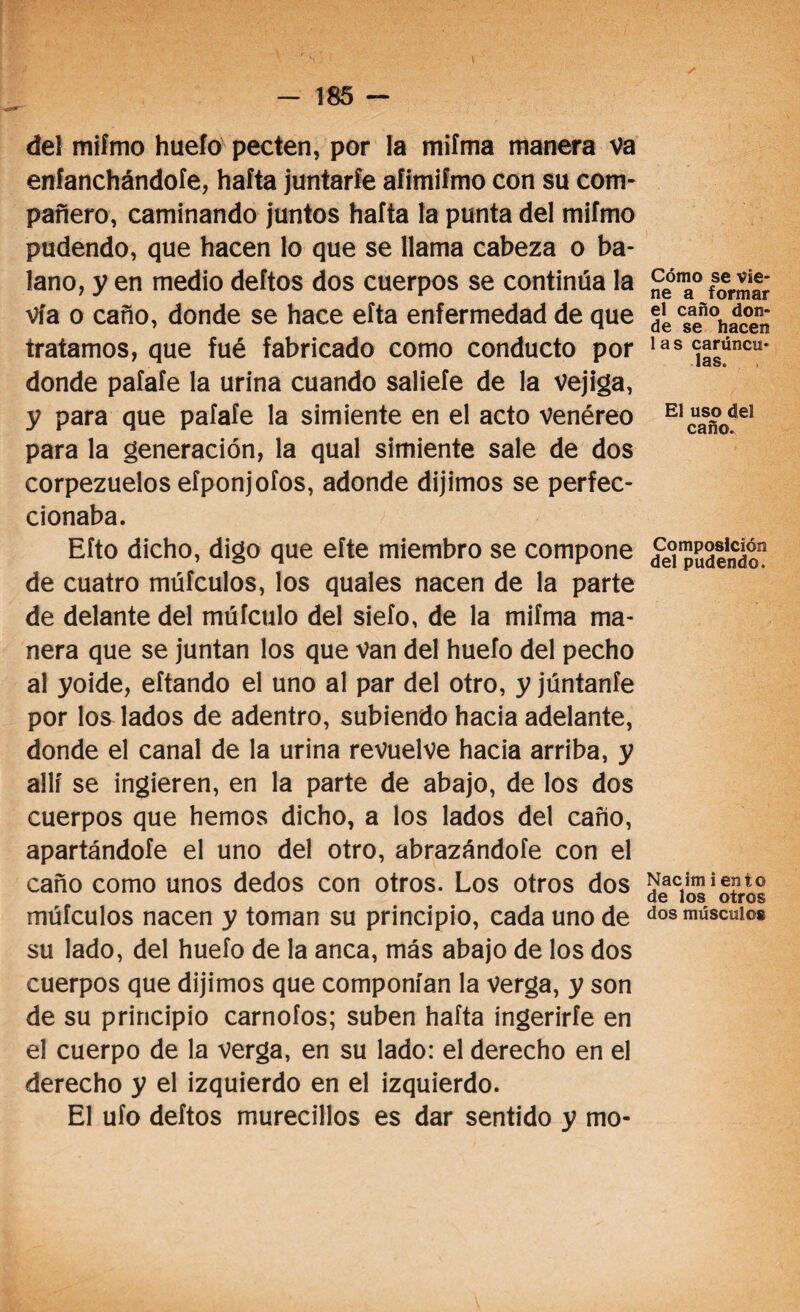 del mifmo huelo pecten, por la miíma manera va eníanchándoíe, haíta juntaríe afimiímo eon su com¬ pañero, caminando juntos haíta la punta del mifmo pudendo, que hacen lo que se llama cabeza o ba- lano, y en medio deítos dos cuerpos se continúa la vía o caño, donde se hace eíta enfermedad de que tratamos, que fué fabricado como conducto por donde pafaíe la urina cuando saliefe de la vejiga, y para que pafaíe la simiente en el acto Venéreo para la generación, la qual simiente sale de dos corpezuelos eíponjofos, adonde dijimos se perfec¬ cionaba. Eíto dicho, digo que eíte miembro se compone de cuatro múfculos, los quales nacen de la parte de delante del múículo del sieío, de la miíma ma¬ nera que se juntan los que Van del huefo del pecho al yoide, eítando el uno al par del otro, y júntanfe por los lados de adentro, subiendo hacia adelante, donde el canal de la urina revuelve hacia arriba, y allí se ingieren, en la parte de abajo, de los dos cuerpos que hemos dicho, a los lados del caño, apartándote el uno del otro, abrazándote con el caño como unos dedos con otros. Los otros dos múfculos nacen y toman su principio, cada uno de su lado, del huefo de la anca, más abajo de los dos cuerpos que dijimos que componían la Verga, y son de su principio carnofos; suben haíta ingerirte en el cuerpo de la verga, en su lado: el derecho en el derecho y el izquierdo en el izquierdo. El ufo deítos murecillos es dar sentido y mo- Cómo se vie¬ ne a formar el caño don¬ de se hacen 1 a s carúncu¬ las. El uso del caño. Composición del pudendo. Nacim i ento de los otros dos músculos