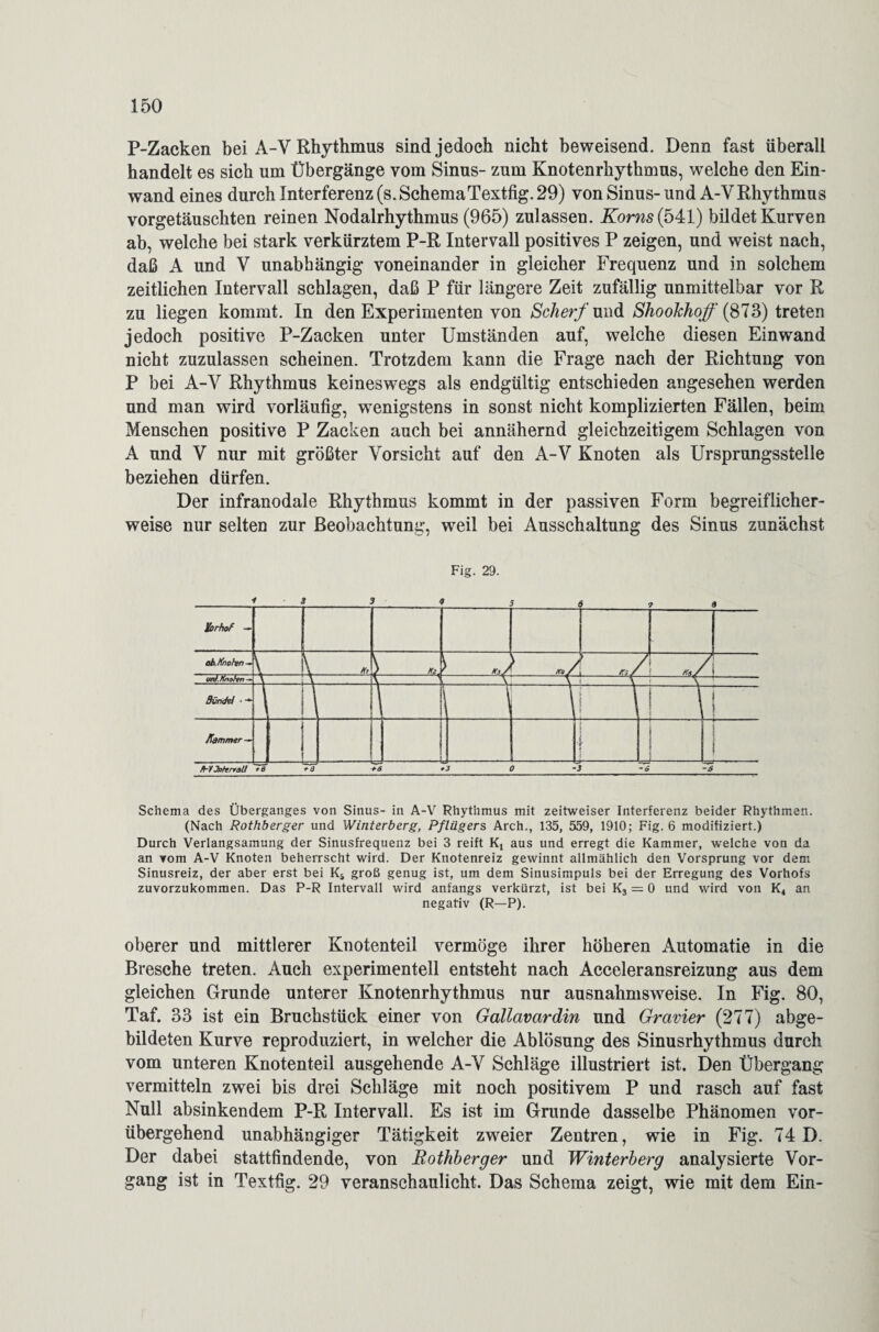 P-Zacken bei A-V Rhythmus sind jedoch nicht beweisend. Denn fast überall handelt es sich um Übergänge vom Sinns- zum Knotenrhythmus, welche den Ein¬ wand eines durch Interferenz (s. SchemaTextfig. 29) von Sinus-und A-V Rhythmus vorgetäuschten reinen Nodalrhythmus (965) zulassen. Korns (541) bildet Kurven ab, welche bei stark verkürztem P-R Intervall positives P zeigen, und weist nach, daß A und V unabhängig voneinander in gleicher Frequenz und in solchem zeitlichen Intervall schlagen, daß P für längere Zeit zufällig unmittelbar vor R zu liegen kommt. In den Experimenten von Scherf und Shookhoff (873) treten jedoch positive P-Zacken unter Umständen auf, welche diesen Einwand nicht zuzulassen scheinen. Trotzdem kann die Frage nach der Richtung von P bei A-V Rhythmus keineswegs als endgültig entschieden angesehen werden und man wird vorläufig, wenigstens in sonst nicht komplizierten Fällen, beim Menschen positive P Zacken auch bei annähernd gleichzeitigem Schlagen von A und V nur mit größter Vorsicht auf den A-V Knoten als Ursprungsstelle beziehen dürfen. Der infranodale Rhythmus kommt in der passiven Form begreiflicher¬ weise nur selten zur Beobachtung, weil bei Ausschaltung des Sinus zunächst Fig. 29. iorbof — 7 aLKnchn — \ * v v ft/ 7 vnf.Khohn-*] 4 _ V i \ Sünde! • -*■ 1 fommer — ’ — — - i ! ä- 1 FhiJnterv&lt *8 +8 +6 +J 0 ’3 -6-6 Schema des Überganges von Sinus- in A-V Rhythmus mit zeitweiser Interferenz beider Rhythmen. (Nach Rothberger und Winterberg, Pflügers Arch., 135, 559, 1910; Fig. 6 modifiziert.) Durch Verlangsamung der Sinusfrequenz bei 3 reift K, aus und erregt die Kammer, welche von da an vom A-V Knoten beherrscht wird. Der Knotenreiz gewinnt allmählich den Vorsprung vor dem Sinusreiz, der aber erst bei Kä groß genug ist, um dem Sinusimpuls bei der Erregung des Vorhofs zuvorzukommen. Das P-R Intervall wird anfangs verkürzt, ist bei K3 = 0 und wird von K4 an negativ (R-P). oberer und mittlerer Knotenteil vermöge ihrer höheren Automatie in die Bresche treten. Auch experimentell entsteht nach Acceleransreizung aus dem gleichen Grunde unterer Knotenrhythmus nur ausnahmsweise. In Fig. 80, Taf. 33 ist ein Bruchstück einer von Gallavardin und Gravier (277) abge¬ bildeten Kurve reproduziert, in welcher die Ablösung des Sinusrhythmus durch vom unteren Knotenteil ausgehende A-V Schläge illustriert ist. Den Übergang vermitteln zwei bis drei Schläge mit noch positivem P und rasch auf fast Null absinkendem P-R Intervall. Es ist im Grunde dasselbe Phänomen vor¬ übergehend unabhängiger Tätigkeit zweier Zentren, wie in Fig. 74 D. Der dabei stattfindende, von Rothberger und Winterberg analysierte Vor¬ gang ist in Textfig. 29 veranschaulicht. Das Schema zeigt, wie mit dem Ein-