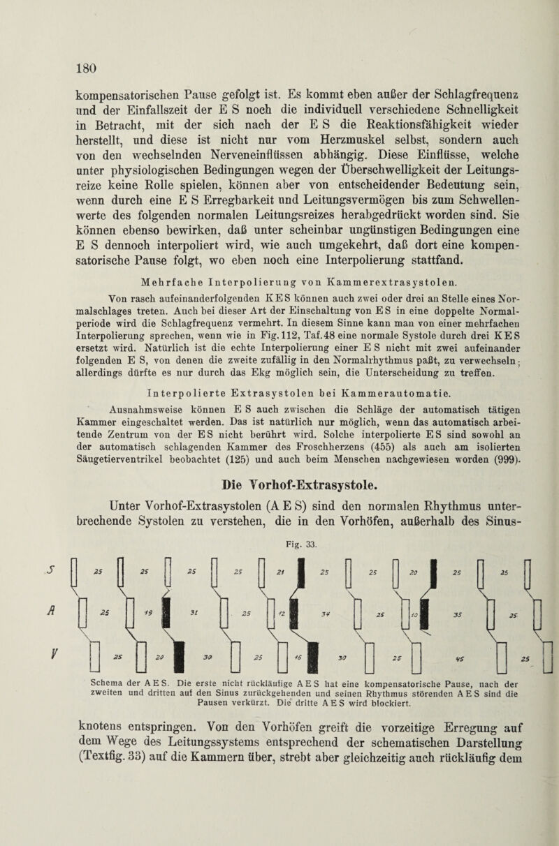 kompensatorischen Pause gefolgt ist. Es kommt eben außer der Schlagfrequenz und der Einfallszeit der E S noch die individuell verschiedene Schnelligkeit in Betracht, mit der sich nach der E S die Reaktionsfähigkeit wieder herstellt, und diese ist nicht nur vom Herzmuskel selbst, sondern auch von den wechselnden Nerveneinflüssen abhängig. Diese Einflüsse, welche unter physiologischen Bedingungen wegen der Überschwelligkeit der Leitungs¬ reize keine Rolle spielen, können aber von entscheidender Bedeutung sein, wenn durch eine E S Erregbarkeit und Leitungsvermögen bis zum Schwellen¬ werte des folgenden normalen Leitungsreizes herabgedrückt worden sind. Sie können ebenso bewirken, daß unter scheinbar ungünstigen Bedingungen eine E S dennoch interpoliert wird, wie auch umgekehrt, daß dort eine kompen¬ satorische Pause folgt, wo eben noch eine Interpolierung stattfand. Mehrfache Interpolierung von Kammerextrasystolen. Von rasch aufeinanderfolgenden KES können auch zwei oder drei an Stelle eines Nor¬ malschlages treten. Auch bei dieser Art der Einschaltung von ES in eine doppelte Normal¬ periode wird die Schlagfrequenz vermehrt. In diesem Sinne kann man von einer mehrfachen Interpolierung sprechen, wenn wie in Fig. 112, Taf.48 eine normale Systole durch drei KES ersetzt wird. Natürlich ist die echte Interpolierung einer E S nicht mit zwei aufeinander folgenden E S, von denen die zweite zufällig in den Normalrhythmus paßt, zu verwechseln; allerdings dürfte es nur durch das Ekg möglich sein, die Unterscheidung zu treffen. Interpolierte Extrasystolen bei Kammerautomatie. Ausnahmsweise können E S auch zwischen die Schläge der automatisch tätigen Kammer eingeschaltet werden. Das ist natürlich nur möglich, wenn das automatisch arbei¬ tende Zentrum von der E S nicht berührt wird. Solche interpolierte E S sind sowohl an der automatisch schlagenden Kammer des Froschherzens (455) als auch am isolierten Säugetierventrikel beobachtet (125) und auch beim Menschen nachgewiesen worden (999). Die Yorhof-Extrasystole. Unter Vorhof-Extrasystolen (A E S) sind den normalen Rhythmus unter¬ brechende Systolen zu verstehen, die in den Vorhöfen, außerhalb des Sinus- Fig. 33. s R ¥ Schema der AES. Die erste nicht rückläufige AES hat eine kompensatorische Pause, nach der zweiten und dritten auf den Sinus zurückgehenden und seinen Rhythmus störenden AES sind die Pausen verkürzt. Die dritte AES wird blockiert. knotens entspringen. Von den Vorhöfen greift die vorzeitige Erregung auf dem Wege des Leitungssystems entsprechend der schematischen Darstellung (Textfig. 33) auf die Kammern über, strebt aber gleichzeitig auch rückläufig dem