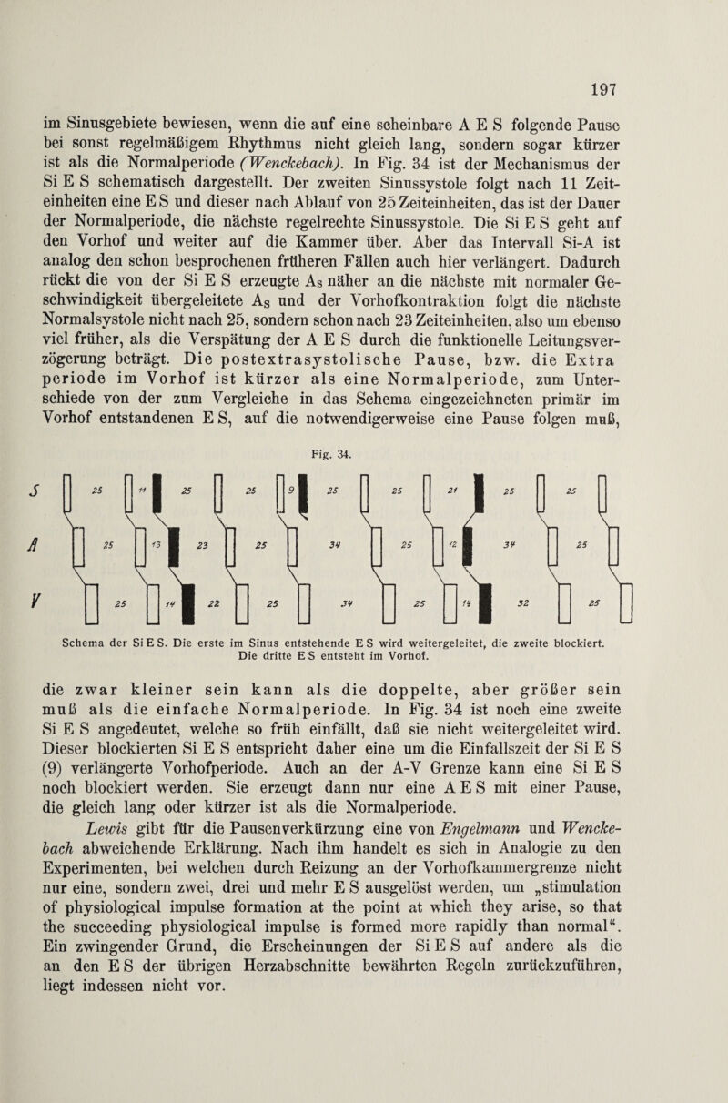 im Sinusgebiete bewiesen, wenn die auf eine scheinbare A E S folgende Pause bei sonst regelmäßigem Rhythmus nicht gleich lang, sondern sogar kürzer ist als die Normalperiode (Wenckebach). In Fig. 34 ist der Mechanismus der Si E S schematisch dargestellt. Der zweiten Sinussystole folgt nach 11 Zeit¬ einheiten eine E S und dieser nach Ablauf von 25 Zeiteinheiten, das ist der Dauer der Normalperiode, die nächste regelrechte Sinussystole. Die Si E S geht auf den Vorhof und weiter auf die Kammer über. Aber das Intervall Si-A ist analog den schon besprochenen früheren Fällen auch hier verlängert. Dadurch rückt die von der Si E S erzeugte As näher an die nächste mit normaler Ge¬ schwindigkeit übergeleitete As und der Vorhofkontraktion folgt die nächste Normalsystole nicht nach 25, sondern schon nach 23 Zeiteinheiten, also um ebenso viel früher, als die Verspätung der A E S durch die funktionelle Leitungsver¬ zögerung beträgt. Die postextrasystolische Pause, bzw. die Extra periode im Vorhof ist kürzer als eine Normalperiode, zum Unter¬ schiede von der zum Vergleiche in das Schema eingezeichneten primär im Vorhof entstandenen E S, auf die notwendigerweise eine Pause folgen muß, Fig. 34. Schema der SiES. Die erste im Sinus entstehende ES wird weitergeleitet, die zweite blockiert. Die dritte ES entsteht im Vorhof. die zwar kleiner sein kann als die doppelte, aber größer sein muß als die einfache Normalperiode. In Fig. 34 ist noch eine zweite Si E S angedeutet, welche so früh einfällt, daß sie nicht weitergeleitet wird. Dieser blockierten Si E S entspricht daher eine um die Einfallszeit der Si E S (9) verlängerte Vorhofperiode. Auch an der A-V Grenze kann eine Si E S noch blockiert werden. Sie erzeugt dann nur eine A E S mit einer Pause, die gleich lang oder kürzer ist als die Normalperiode. Lewis gibt für die Pausenverkürzung eine von Engelmann und Wencke¬ bach abweichende Erklärung. Nach ihm handelt es sich in Analogie zu den Experimenten, bei welchen durch Reizung an der Vorhofkammergrenze nicht nur eine, sondern zwei, drei und mehr E S ausgelöst werden, um „Stimulation of physiological impulse formation at the point at which they arise, so that the succeeding physiological impulse is formed more rapidly than normal“. Ein zwingender Grund, die Erscheinungen der Si E S auf andere als die an den ES der übrigen Herzabschnitte bewährten Regeln zurückzuführen, liegt indessen nicht vor.