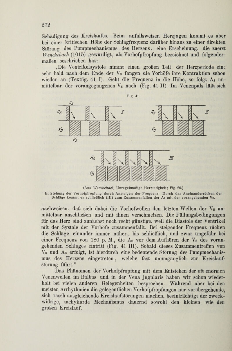 Schädigung des Kreislaufes. Beim anfallsweisen Herzjagen kommt es aber bei einer kritischen Höhe der Schlagfrequenz darüber hinaus zu einer direkten Störung des Pumpmechanismus des Herzens, eine Erscheinung, die zuerst Wenckebach (1015) gewürdigt, als Vorhofpfropfung bezeichnet und folgender¬ maßen beschrieben hat: „Die Ventrikelsystole nimmt einen großen Teil der Herzperiode ein; sehr bald nach dem Ende der Vs fangen die Vorhöfe ihre Kontraktion schon wieder an (Textfig. 41 I). Geht die Frequenz in die Höhe, so folgt As un¬ mittelbar der vorangegangenen Vs nach (Fig. 41 II). Im Venenpuls läßt sich Fig. 41. (Aus Wenckebach, Unregelmäßige Herztätigkeit; Fig. 60.) Entstehung der Vorhofpfropfung durch Ansteigen der Frequenz. Durch das Aneinanderrücken der Schläge kommt es schließlich (III) zum Zusammenfallen der As mit der vorangehenden Vs. nach weisen, daß sich dabei die Vorhofwellen den letzten Wellen der Vs un¬ mittelbar anschließen und mit ihnen verschmelzen. Die Füllungsbedingungen für das Herz sind zunächst noch recht günstige, weil die Diastole der Ventrikel mit der Systole der Vorhöfe zusammenfällt. Bei steigender Frequenz rücken die Schläge einander immer näher, bis schließlich, und zwar ungefähr bei einer Frequenz von 180 p. M., die As vor dem Auf hören der Vs des voran¬ gehenden Schlages eintritt (Fig. 41 III). Sobald dieses Zusammentreffen von Vs und As erfolgt, ist hierdurch eine bedeutende Störung des Pumpmechanis¬ mus des Herzens eingetreten, welche fast unumgänglich zur Kreislauf¬ störung führt.“ Das Phänomen der Vorhofpfropfung mit dem Entstehen der oft enormen Venenwellen im Bulbus und in der Vena jugularis haben wir schon wieder¬ holt bei vielen anderen Gelegenheiten besprochen. Während aber bei den meisten Arrhythmien die gelegentlichen Vorhofpfropfungen nur vorübergehende, sich rasch ausgleichende Kreislaufstörungen machen, beeinträchtigt der zweck¬ widrige, tachykarde Mechanismus dauernd sowohl den kleinen wie den großen Kreislauf.