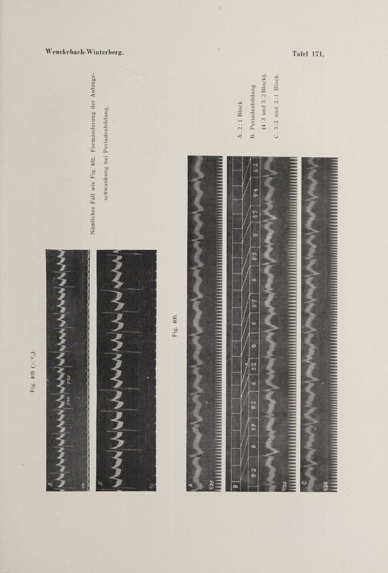 Nämlicher Fall wie Fig. 402. Formänderung der Anfangs- 3 5 2 5 f-H 5