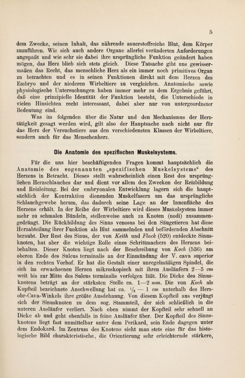 dem Zwecke, seinen Inhalt, das nährende sauerstoffreiche Blut, dem Körper zuzuführen. Wie sich auch andere Organe allerlei veränderten Anforderungen angepaßt und wie sehr sie dabei ihre ursprüngliche Funktion geändert haben mögen, das Herz blieb sich stets gleich. Diese Tatsache gibt uns gewisser¬ maßen das Recht, das menschliche Herz als ein immer noch primitives Organ zu betrachten und es in seinen Funktionen direkt mit dem Herzen des Embryo und der niederen Wirbeltiere zu vergleichen. Anatomische sowie physiologische Untersuchungen haben immer mehr zu dem Ergebnis geführt, daß eine prinzipielle Identität der Funktion besteht, die Unterschiede in vielen Hinsichten recht interessant, dabei aber nur von untergeordneter Bedeutung sind. Was im folgenden über die Natur und den Mechanismus der Herz¬ tätigkeit gesagt werden wird, gilt also der Hauptsache nach nicht nur für das Herz der Versuchstiere aus den verschiedensten Klassen der Wirbeltiere, sondern auch für das Menschenherz. Die Anatomie des spezifischen Muskelsystems. Für die uns hier beschäftigenden Fragen kommt hauptsächlich die Anatomie des sogenannten „spezifischen Muskelsystems“ des Herzens in Betracht. Dieses stellt wahrscheinlich einen Rest des ursprüng¬ lichen Herzschlauches dar und dient vor allem den Zwecken der Reizbildung und Reizleitung. Bei der embryonalen Entwicklung lagern sich die haupt¬ sächlich der Kontraktion dienenden Muskelfasern um das ursprüngliche Schlauchgewebe herum, das dadurch seine Lage an der Innenfläche des Herzens erhält. In der Reihe der Wirbeltiere wird dieses Muskelsystem immer mehr zu schmalen Bündeln, stellenweise auch zu Knoten (nodi) zusammen¬ gedrängt. Die Rückbildung des Sinus venosus bei den Säugetieren hat diese Herzabteilung ihrer Funktion als Blut sammelnden und befördernden Abschnitt beraubt. Der Best des Sinus, der von Keith und Mach (520) entdeckte Sinus¬ knoten, hat aber die wichtige Rolle eines Schrittmachers des Herzens bei¬ behalten. Dieser Knoten liegt nach der Beschreibung von Koch (536) am oberen Ende des Sulcus terminalis an der Einmündung der V. cava superior in den rechten Vorhof. Er hat die Gestalt einer unregelmäßigen Spindel, die sich im erwachsenen Herzen mikroskopisch mit ihren Ausläufern 2—3 cm weit bis zur Mitte des Sulcus terminalis verfolgen läßt. Die Dicke des Sinus¬ knotens beträgt an der stärksten Stelle ca. 1—2 mm. Die von Koch als Kopfteil bezeichnete Anschwellung hat ca. 1/2 — 1 cm unterhalb des Herz- ohr-Cava-Winkels ihre größte Ausdehnung. Von diesem Kopfteil aus verjüngt sich der Sinusknoten zu dem sog. Stammteil, der sich schließlich in die unteren Ausläufer verliert. Nach oben nimmt der Kopfteil sehr schnell an Dicke ab und geht ebenfalls in feine Ausläufer über. Der Kopfteil des Sinus¬ knotens liegt fast unmittelbar unter dem Perikard, sein Ende dagegen unter dem Endokard. Im Zentrum des Knotens sieht man stets eine für das histo¬ logische Bild charakteristische, die Orientierung sehr erleichternde stärkere,