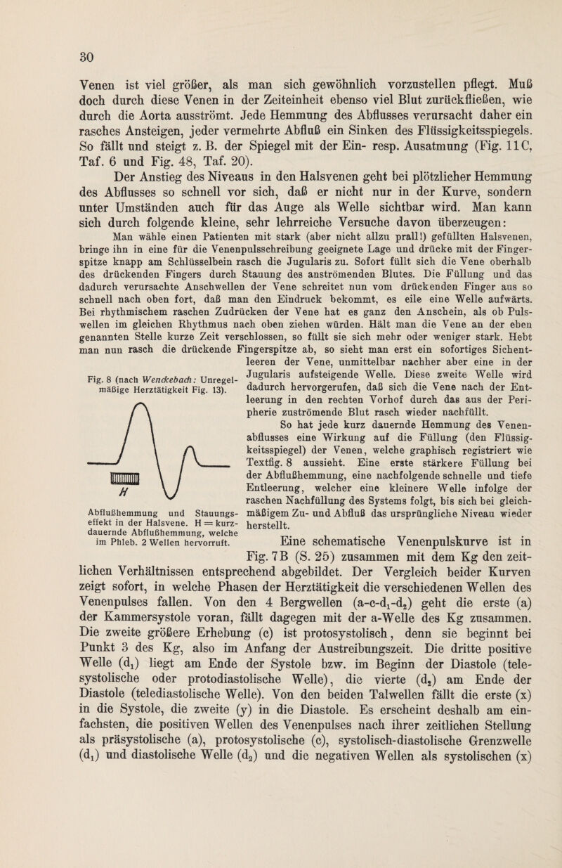 Venen ist viel größer, als man sich gewöhnlich vorzustellen pflegt. Muß doch durch diese Venen in der Zeiteinheit ebenso viel Blut zuriiekfließen, wie durch die Aorta ausströmt. Jede Hemmung des Abflusses verursacht daher ein rasches Ansteigen, jeder vermehrte Abfluß ein Sinken des Flüssigkeitsspiegels. So fällt und steigt z. B. der Spiegel mit der Ein- resp. Ausatmung (Fig. 11C, Taf. 6 und Fig. 48, Taf. 20). Der Anstieg des Niveaus in den Halsvenen geht bei plötzlicher Hemmung des Abflusses so schnell vor sich, daß er nicht nur in der Kurve, sondern unter Umständen auch für das Auge als Welle sichtbar wird. Man kann sich durch folgende kleine, sehr lehrreiche Versuche davon überzeugen: Fig. 8 (nach Wenckebach: Unregel¬ mäßige Herztätigkeit Fig. 13). Man wähle einen Patienten mit stark (aber nicht allzu prall!) gefüllten Halsvenen, bringe ihn in eine für die Venenpulsschreibung geeignete Lage und drücke mit der Finger¬ spitze knapp am Schlüsselbein rasch die Jugularis zu. Sofort füllt sich die Vene oberhalb des drückenden Fingers durch Stauung des anströmenden Blutes. Die Füllung und das dadurch verursachte Anschwellen der Vene schreitet nun vom drückenden Finger aus so schnell nach oben fort, daß man den Eindruck bekommt, es eile eine Welle aufwärts. Bei rhythmischem raschen Zudrücken der Vene hat es ganz den Anschein, als ob Puls¬ wellen im gleichen Rhythmus nach oben ziehen würden. Hält man die Vene an der eben genannten Stelle kurze Zeit verschlossen, so füllt sie sich mehr oder weniger stark. Hebt man nun rasch die drückende Fingerspitze ab, so sieht man erst ein sofortiges Sichent- leeren der Vene, unmittelbar nachher aber eine in der Jugularis aufsteigende Welle. Diese zweite Welle wird dadurch hervorgerufen, daß sich die Vene nach der Ent¬ leerung in den rechten Vorhof durch das aus der Peri¬ pherie zuströmende Blut rasch wieder nachfüllt. So hat jede kurz dauernde Hemmung des Venen¬ abflusses eine Wirkung auf die Füllung (den Flüssig¬ keitsspiegel) der Venen, welche graphisch registriert wie Textfig. 8 aussieht. Eine erste stärkere Füllung bei der Abflußhemmung, eine nachfolgende schnelle und tiefe Entleerung, welcher eine kleinere Welle infolge der raschen Nachfüllung des Systems folgt, bis sich bei gleich- Abflußhemmung und Stauungs- mäßigem Zu- und Abfluß das ursprüngliche Niveau wieder effekt in der Halsvene. H = kurz- herstellt, dauernde Abflußhemmung, welche im Phieb. 2 weilen hervorruft. Eine schematische Venenpulskurve ist in Fig. 7 B (S. 25) zusammen mit dem Kg den zeit¬ lichen Verhältnissen entsprechend abgebildet. Der Vergleich beider Kurven zeigt sofort, in welche Phasen der Herztätigkeit die verschiedenen Wellen des Venenpulses fallen. Von den 4 Bergwellen (a-c-d!-d2) geht die erste (a) der Kammersystole voran, fällt dagegen mit der a-Welle des Kg zusammen. Die zweite größere Erhebung (c) ist protosystolisch, denn sie beginnt bei Punkt 3 des Kg, also im Anfang der Austreibungszeit. Die dritte positive Welle (dx) liegt am Ende der Systole bzw. im Beginn der Diastole (tele- systolische oder protodiastolische Welle), die vierte (d2) am Ende der Diastole (telediastolische Welle). Von den beiden Talwellen fällt die erste (x) in die Systole, die zweite (y) in die Diastole. Es erscheint deshalb am ein¬ fachsten, die positiven Wellen des Venenpulses nach ihrer zeitlichen Stellung als präsystolische (a), protosystolische (c), systolisch-diastolische Grenzwelle (dj) und diastolische Welle (d2) und die negativen Wellen als systolischen (x)