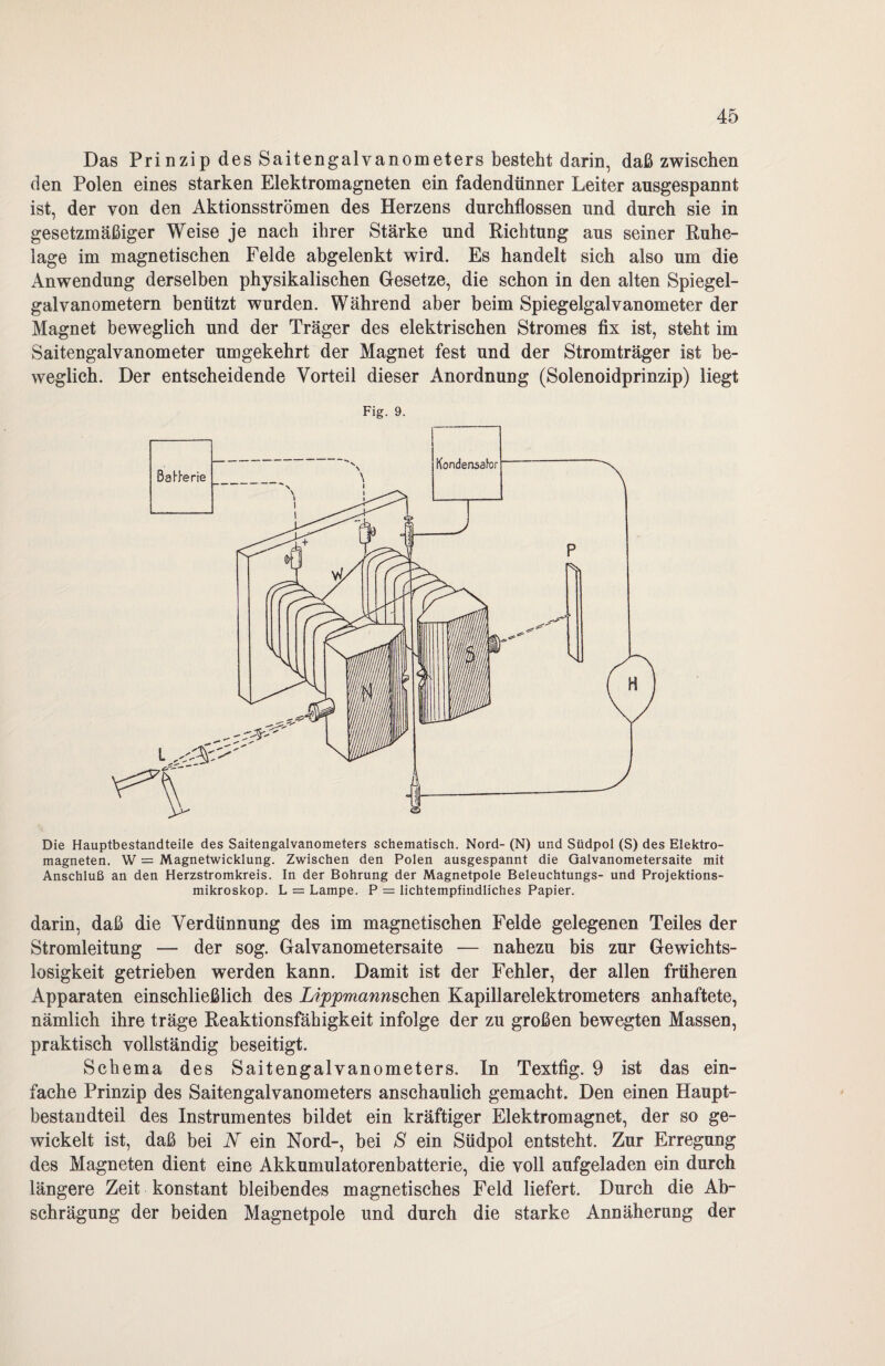 Das Prinzip des Saitengalvanometers besteht darin, daß zwischen den Polen eines starken Elektromagneten ein fadendünner Leiter ausgespannt ist, der von den Aktionsströmen des Herzens durchflossen und durch sie in gesetzmäßiger Weise je nach ihrer Stärke und Richtung aus seiner Ruhe¬ lage im magnetischen Felde abgelenkt wird. Es handelt sich also um die Anwendung derselben physikalischen Gesetze, die schon in den alten Spiegel¬ galvanometern benützt wurden. Während aber beim Spiegelgalvanometer der Magnet beweglich und der Träger des elektrischen Stromes fix ist, steht im Saitengalvanometer umgekehrt der Magnet fest und der Stromträger ist be¬ weglich. Der entscheidende Vorteil dieser Anordnung (Solenoidprinzip) liegt Fig. 9. Die Hauptbestandteile des Saitengalvanometers schematisch. Nord- (N) und Südpol (S) des Elektro¬ magneten. W — Magnetwicklung. Zwischen den Polen ausgespannt die Galvanometersaite mit Anschluß an den Herzstromkreis. In der Bohrung der Magnetpole Beleuchtungs- und Projektions¬ mikroskop. L = Lampe. P = lichtempfindliches Papier. darin, daß die Verdünnung des im magnetischen Felde gelegenen Teiles der Stromleitung — der sog. Galvanometersaite — nahezu bis zur Gewichts¬ losigkeit getrieben werden kann. Damit ist der Fehler, der allen früheren Apparaten einschließlich des Lippmanmohm Kapillarelektrometers anhaftete, nämlich ihre träge Reaktionsfähigkeit infolge der zu großen bewegten Massen, praktisch vollständig beseitigt. Schema des Saitengalvanometers. In Textfig. 9 ist das ein¬ fache Prinzip des Saitengalvanometers anschaulich gemacht. Den einen Haupt¬ bestandteil des Instrumentes bildet ein kräftiger Elektromagnet, der so ge¬ wickelt ist, daß bei N ein Nord-, bei S ein Südpol entsteht. Zur Erregung des Magneten dient eine Akkumulatorenbatterie, die voll aufgeladen ein durch längere Zeit konstant bleibendes magnetisches Feld liefert. Durch die Ab¬ schrägung der beiden Magnetpole und durch die starke Annäherung der