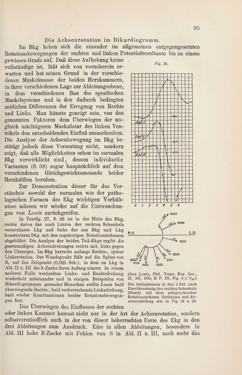 Fig. 26. Die Achsenrotation im Bikardiogramm. Im Bkg heben sich die einander im allgemeinen entgegengesetzten Rotationsbewegungen der rechten und linken Potentialresultante bis zu einem gewissen Grade auf. Daß diese Aufhebung keine vollständige ist, läßt sich von vorneherein er¬ warten und hat seinen Grund in der verschie¬ denen Muskelmasse der beiden Herzkammern, in ihrer verschiedenen Lage zur Ableitungsebene, in dem verschiedenen Bau des spezifischen Muskelsystems und in den dadurch bedingten zeitlichen Differenzen der Erregung von Rechts und Links. Man könnte geneigt sein, von den genannten Faktoren dem Überwiegen der un¬ gleich mächtigeren Muskulatur des linken Ven¬ trikels den entscheidenden Einfluß zuzuschreiben. Die Analyse der Achsenbewegung im Bkg be¬ stätigt jedoch diese Vermutung nicht, sondern zeigt, daß alle Möglichkeiten schon im normalen Bkg verwirklicht sind, dessen individuelle Varianten (S. 58) sogar hauptsächlich auf dem verschiedenen Gleichgewichtszustände beider Herzhälften beruhen. Zur Demonstration dieser für das Ver¬ ständnis sowohl der normalen wie der patho¬ logischen Formen des Ekg wichtigen Verhält¬ nisse müssen wir wieder auf die Untersuchun¬ gen von Lewis zurückgreifen. In Textfig. 27, S. 96 ist in der Mitte das Bkg, rechts davon das nach Läsion des rechten Schenkels verzeichnete Lkg und links das ans Bkg und Lkg konstruierte Dkg mit den zugehörigen Rotationsschemen abgebildet. Die Analyse der beiden Teil-Ekge ergibt die gesetzmäßigen Achsendrehungen rechts mit, links gegen den Uhrzeiger. Im Bkg herrscht anfangs Rechts-, später Linksrotation. Der Wendepunkt fällt auf die Spitze von R, auf den Zeitpunkt (0,025 Sek.), in dem im Lkg in Abi. II u. III die S-Zacke ihren Anfang nimmt. In einem anderen Falle wechselten Links- und Rechtsdrehung wiederholt miteinander und in einigen Beispielen von Bikardiogrammen gesunder Menschen stellte Lewis bald überwiegende Rechts-, bald vorherrschende Linksdrehung, bald wieder Kombinationen beider Rotationsbewegun¬ gen fest. # S 6 0450 •0050 ■0100 •OISO •0200 (Aus Lewis, Phil. Trans. Roy. Soc., 27, 247, 1916, B. P. III, Fig. 4 X 9/io-) Die Initialphasen in den 3 Abi. nach Durchtrennung des rechten Schenkels (Hund) mit dem entsprechenden Rotationsschema. Ordinaten und Ab¬ szissenteilung wie in Fig. 24 u. 25. Das Überwiegen des Einflusses der rechten oder linken Kammer kommt nicht nur in der Art der Achsenrotation, sondern selbstverständlich auch in der von dieser beherrschten Form des Ekg in den drei Ableitungen zum Ausdruck. Eine in allen Ableitungen, besonders in Abi. III hohe R-Zacke mit Fehlen von S in Abi. II u. III, noch mehr das
